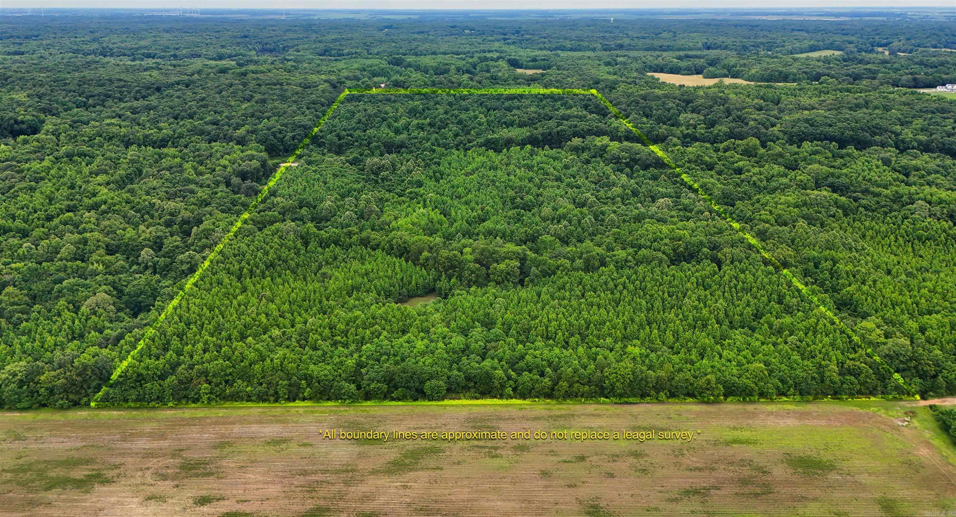 Here is your chance to own Crowley's Ridge land without paying an absolute fortune for it. The property consists of 80 acres of mature trees split almost evenly in half by Highway 163. There is 40 acres on the West side of the highway going up the ridge. This parcel is full of mature trees and would be perfect if you are wanting to build a home on top of the ridge. The 40 acres on the east side of Highway 163 already has the home on it and is also covered in mature trees as well. So, the utility work is already done. The home on the property is 1630 square feet. It has 3 bedrooms, 1 bathroom, and attached garage. The home also has a metal roof and HVAC. The home does need work, but can be lived in while you build your dream Crowley's Ridge property. Do not miss out on the opportunity to purchase land on the ridge without paying typical "Crowley's Ridge prices."
