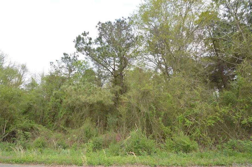 Beautiful land perfect for your dream home! Call today to see this great piece of land. Quite great land! Some utilities on site. 17.6 acres available. Land can be sold in 17.6, 10 or 7.6 acre sections.