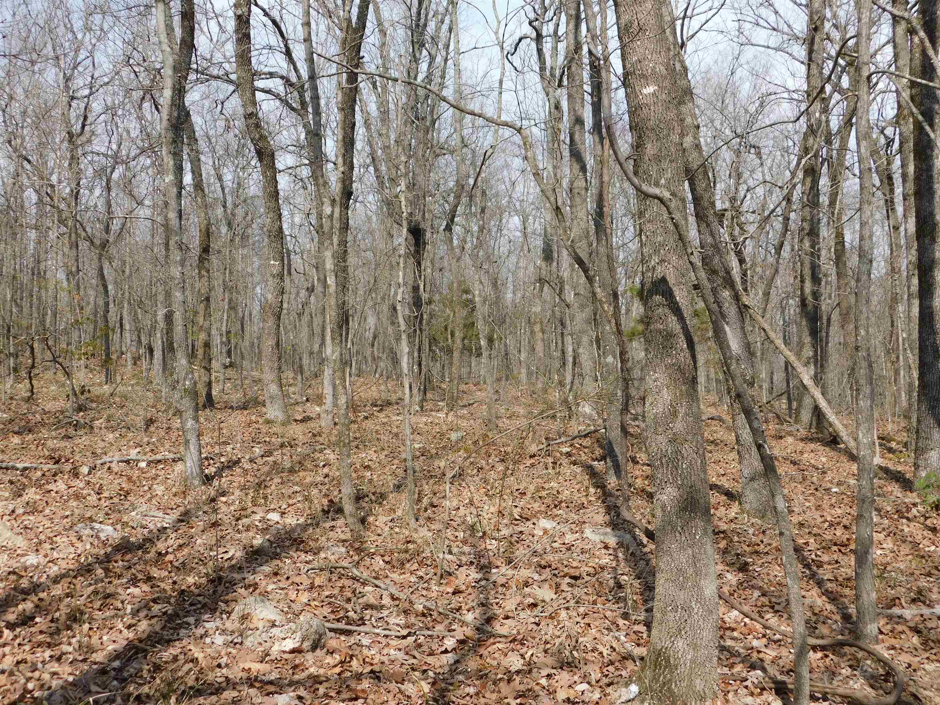 Metes & Bounds - Land