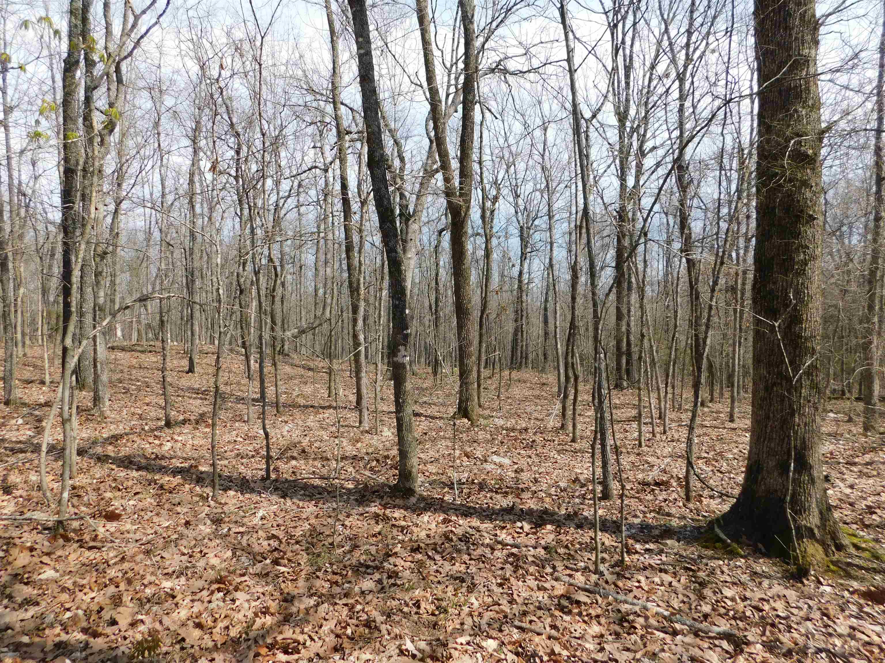 Metes & Bounds - Land