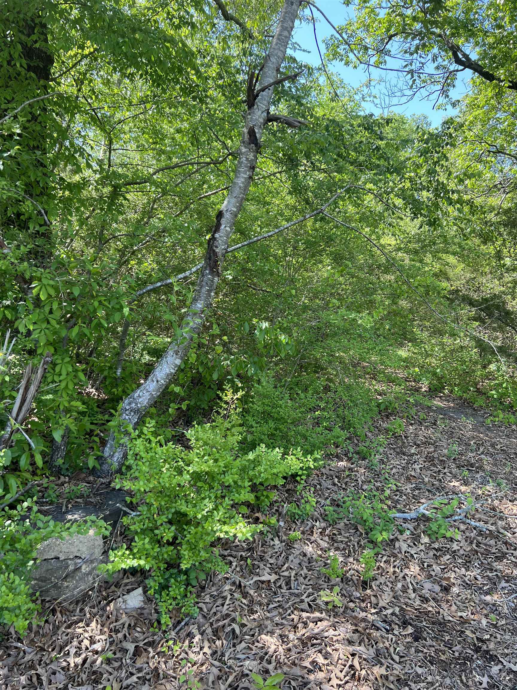 NORTH ADDITION - Land