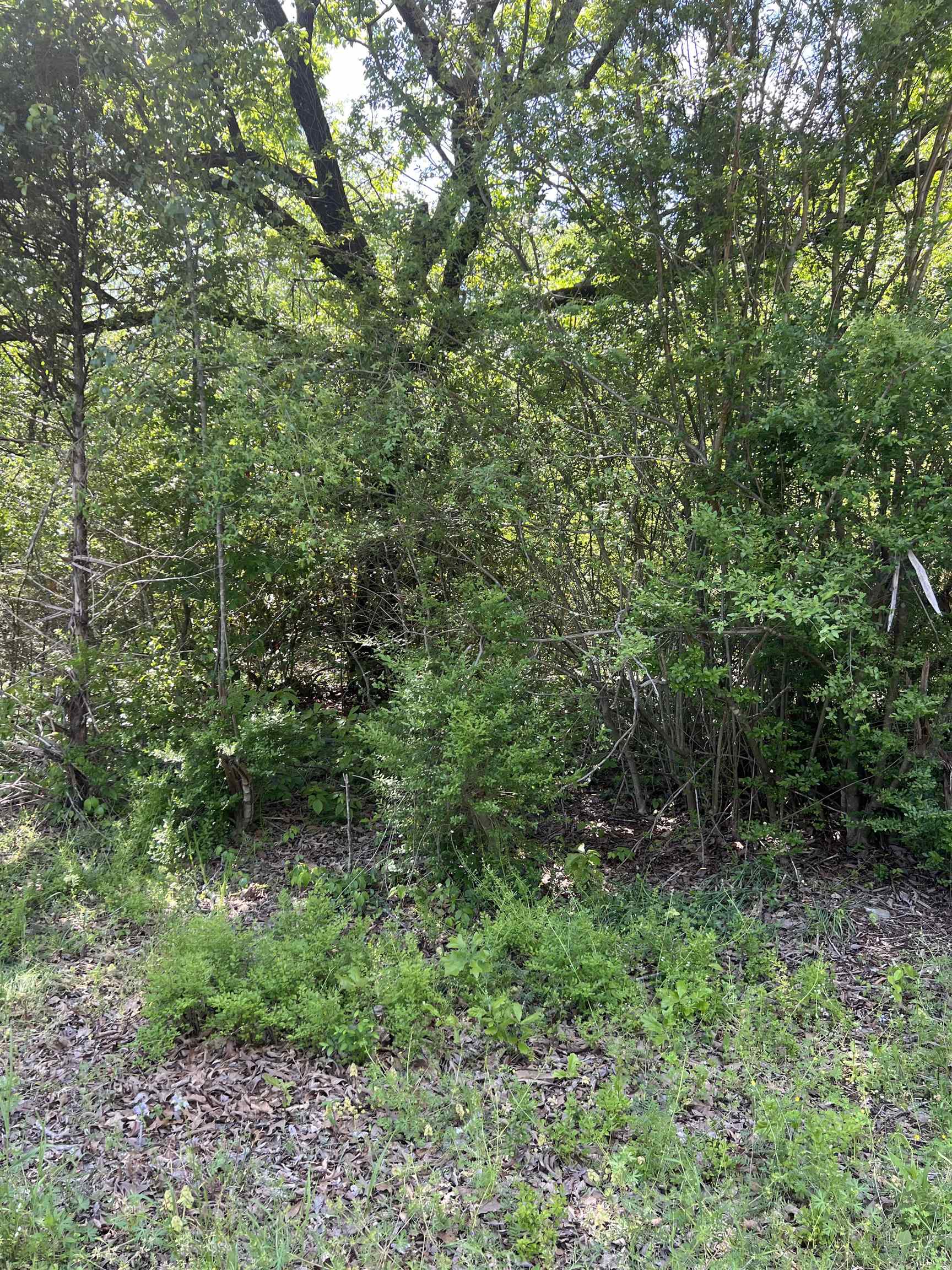NORTH ADDITION - Land