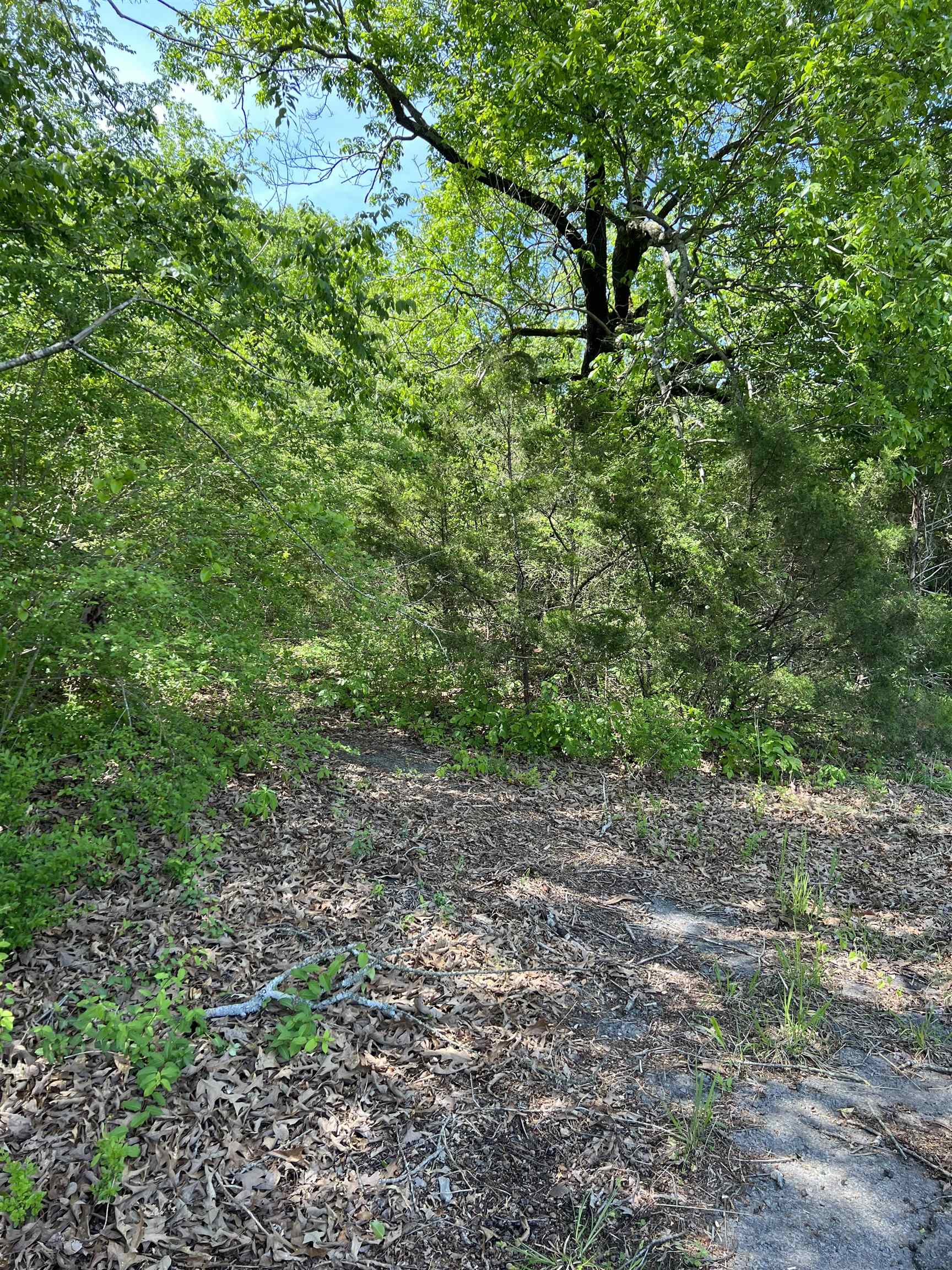 Two lots in a quiet residential area in the city limits of Heber with all utilities ready to hook up. There are no restrictions for double wide mobile on these lots. Previously had a home but it burned several years ago. Don't let this lovely piece of land get away. Call today.