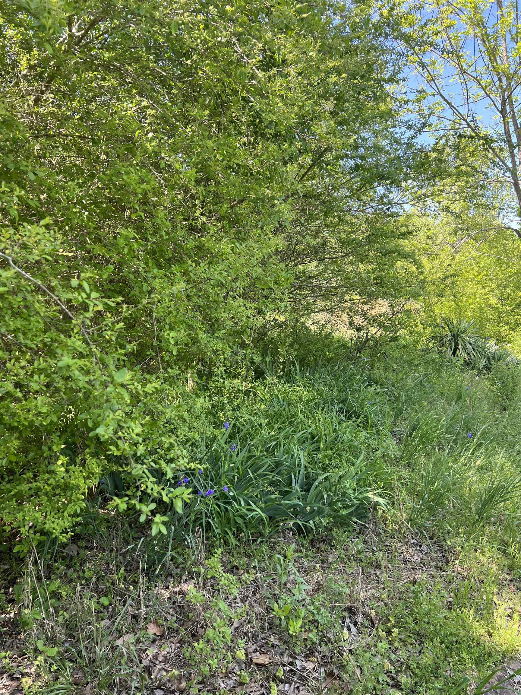 NORTH ADDITION - Land