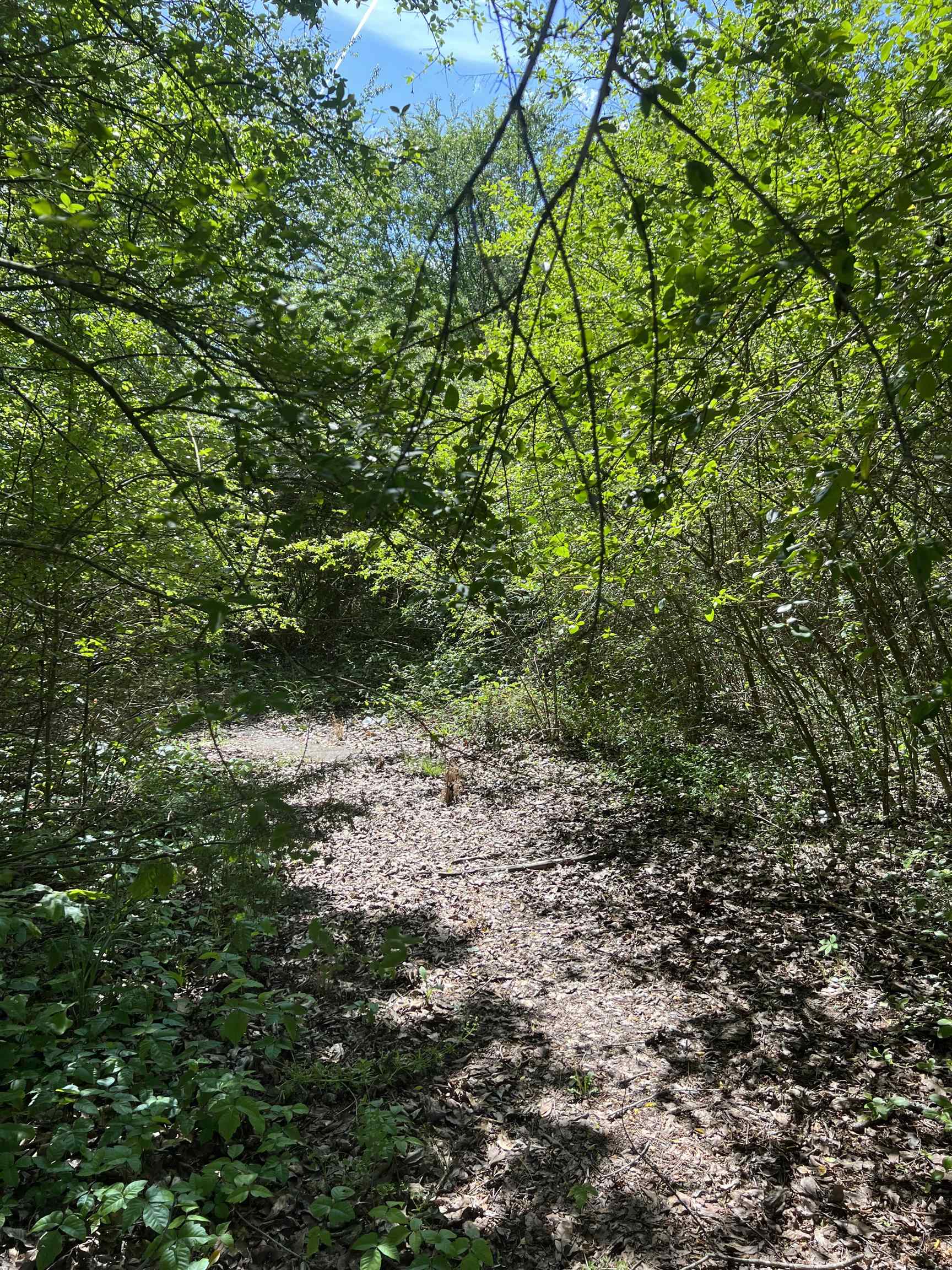 NORTH ADDITION - Land