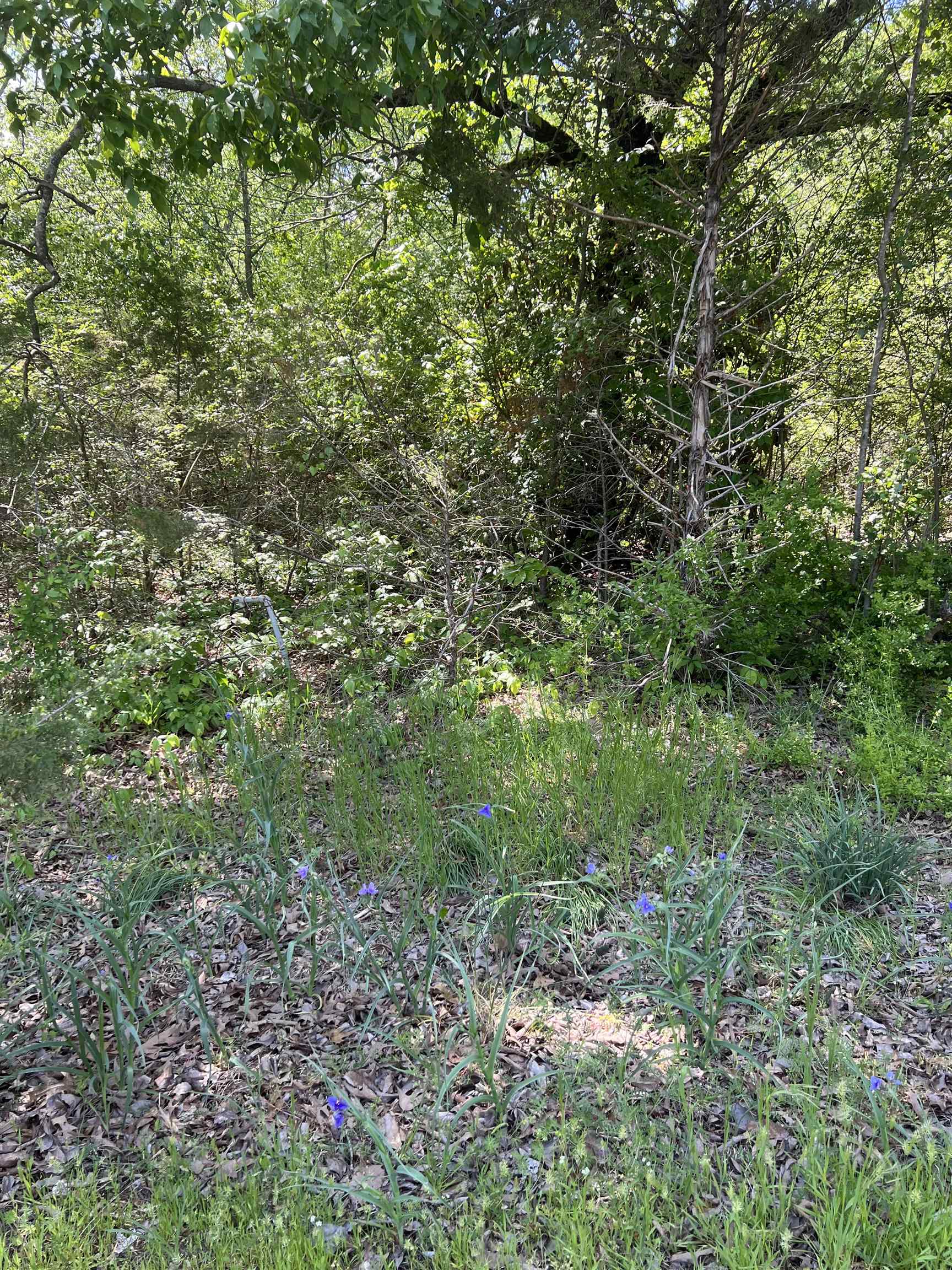 NORTH ADDITION - Land