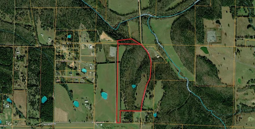 Pristine 52 Acre tract with a blend of good pasture land and hardwoods. Property has a bluff that would be a ideal building. Land is fenced and has been used for livestock until recently.  City water and Electric are available.