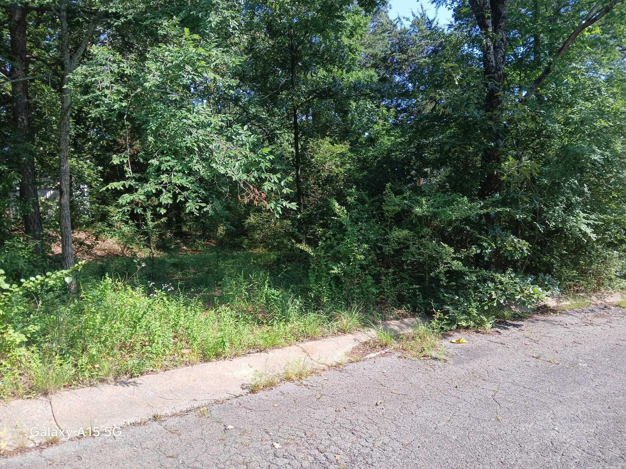 GREAT PROPERTY FOR YOUR DREAM HOME!!! Offereed at only $20,000. Located in a cul-de-sac. 1/2 acre.