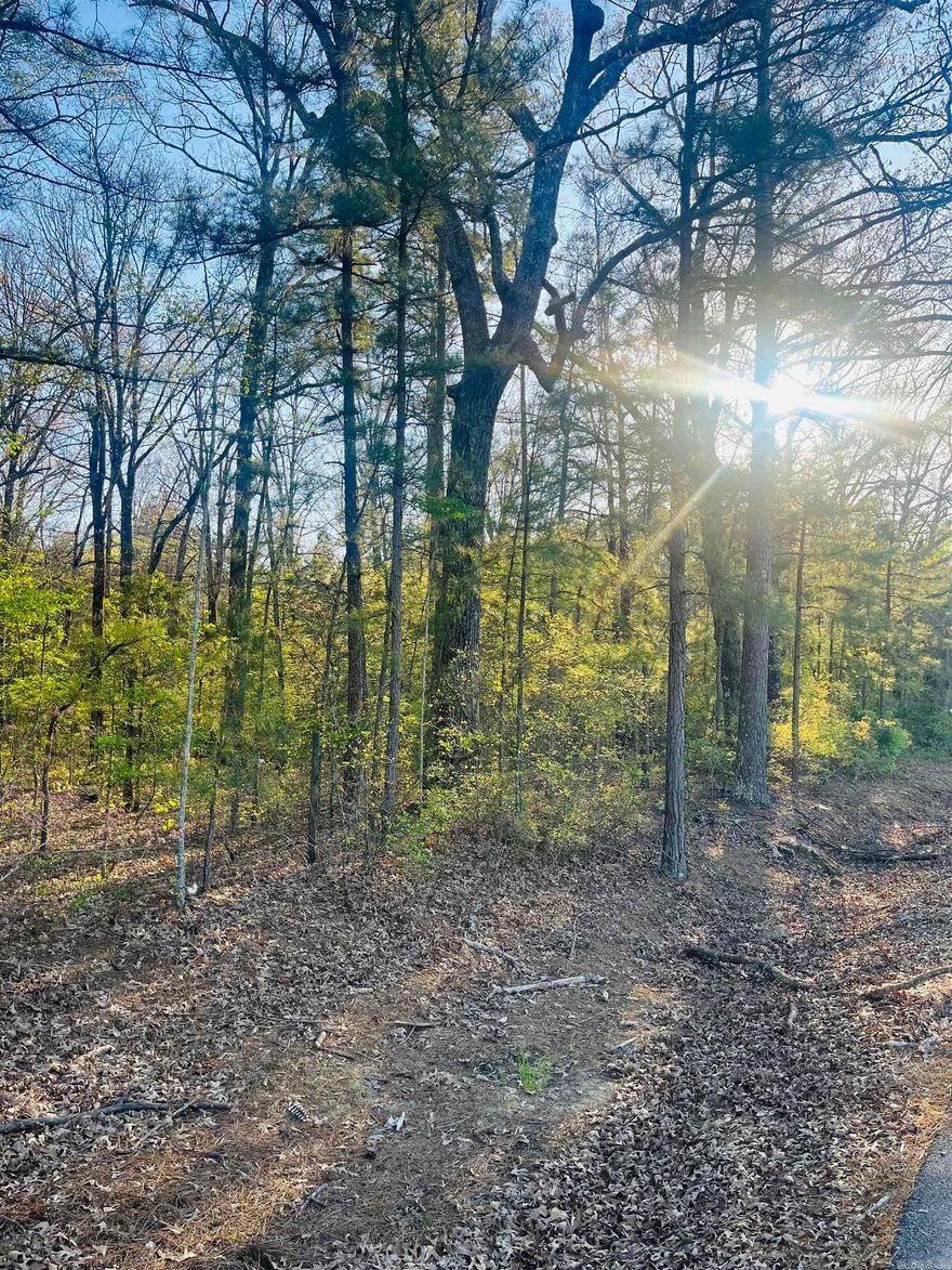 Investors take note!! This approximately 6-acre wooded tract offers a prime residential development opportunity with paved road frontage and approximately 812 feet of frontage on Hoover Lane. This property would also be perfect for building your dream home and have extra room to roam or build that shop you've always wanted!!  Conveniently located just minutes from UAM, schools, Baptist Hospital, and restaurants, this property combines accessibility with potential. Neighboring private timberland enhances the natural setting, while electric and water are available along Hoover Lane for added convenience. With so many possibilities, this is a property you won’t want to overlook.