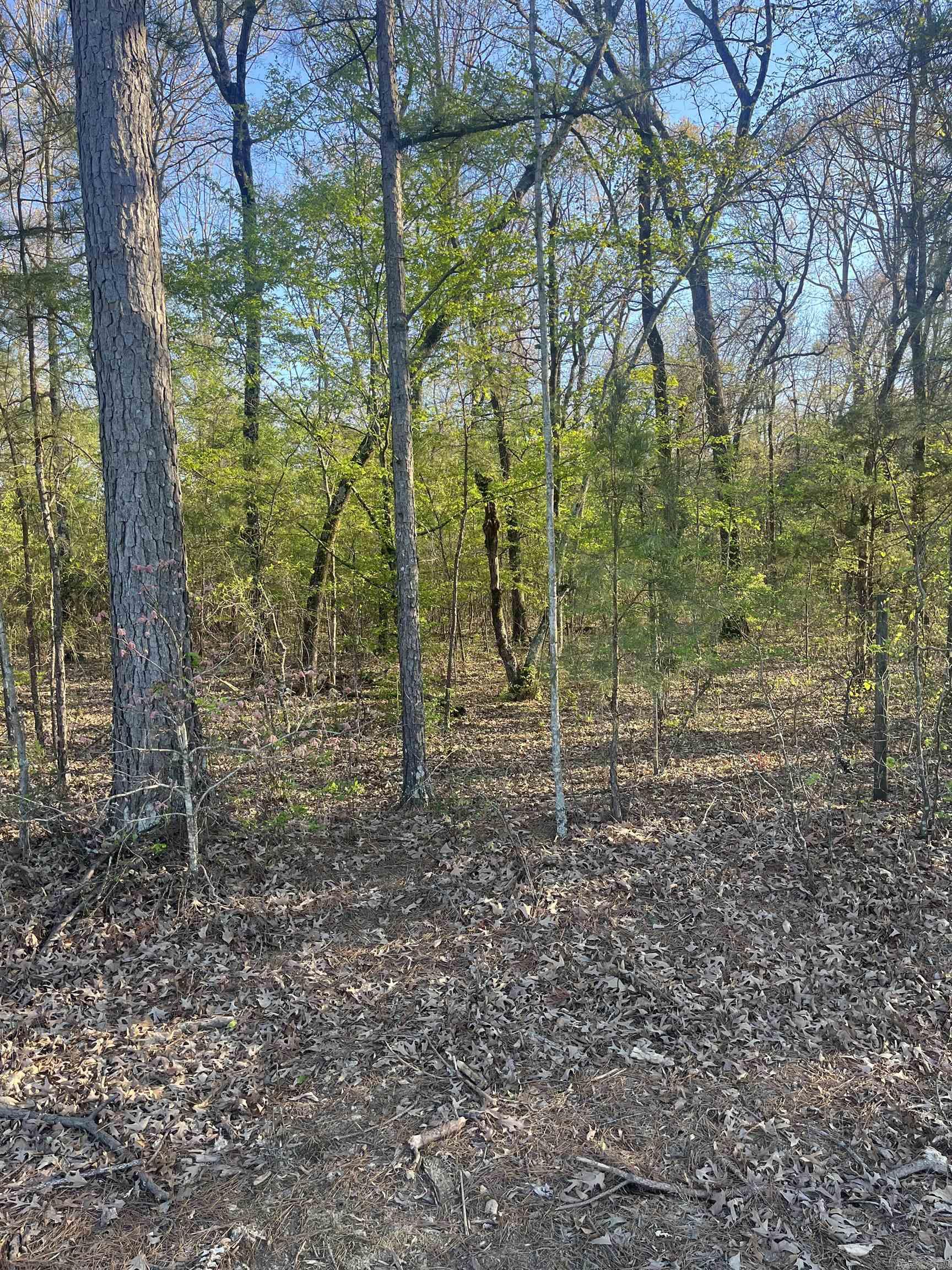 Not in Subdivision - Land