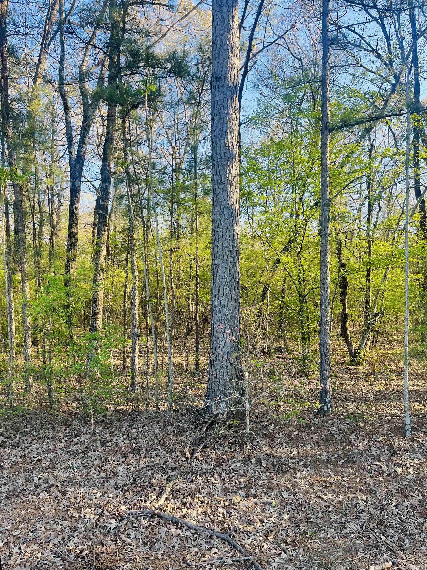 Not in Subdivision - Land