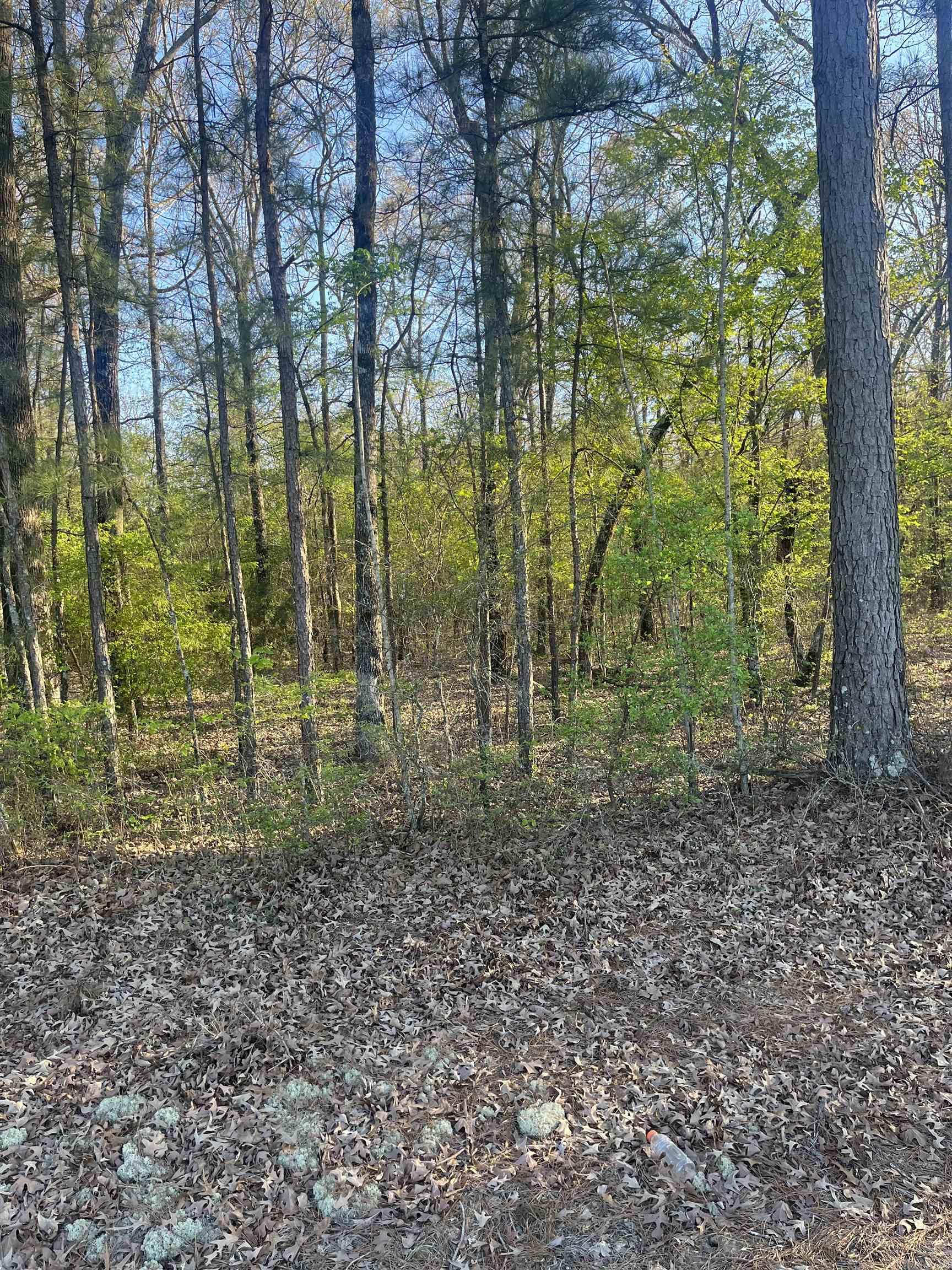 Not in Subdivision - Land