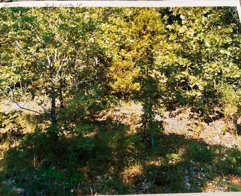 TBD WAHOO DRIVE, CHEROKEE VILLAGE, AR 72529 - Image d3fe13aaf1ea7ac75cd391cb35eed5d8/1033027429