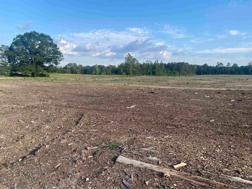 This 40 acre property is a great find. Located in Bonnerdale with great potential for raising livestock or building your dream home in the country with plenty of space. Located in a quiet and peaceful setting.  A definite fit for those wanting to get out of the city for some country life.