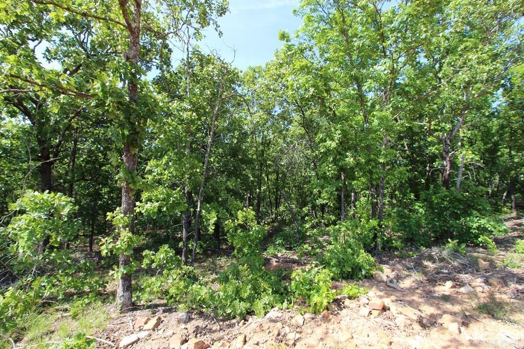 7 LAKES RANCH ESTATES PHASE 1 - Land