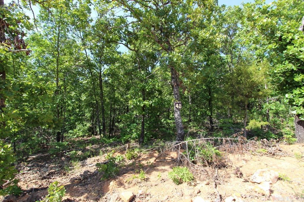 7 LAKES RANCH ESTATES PHASE 1 - Land