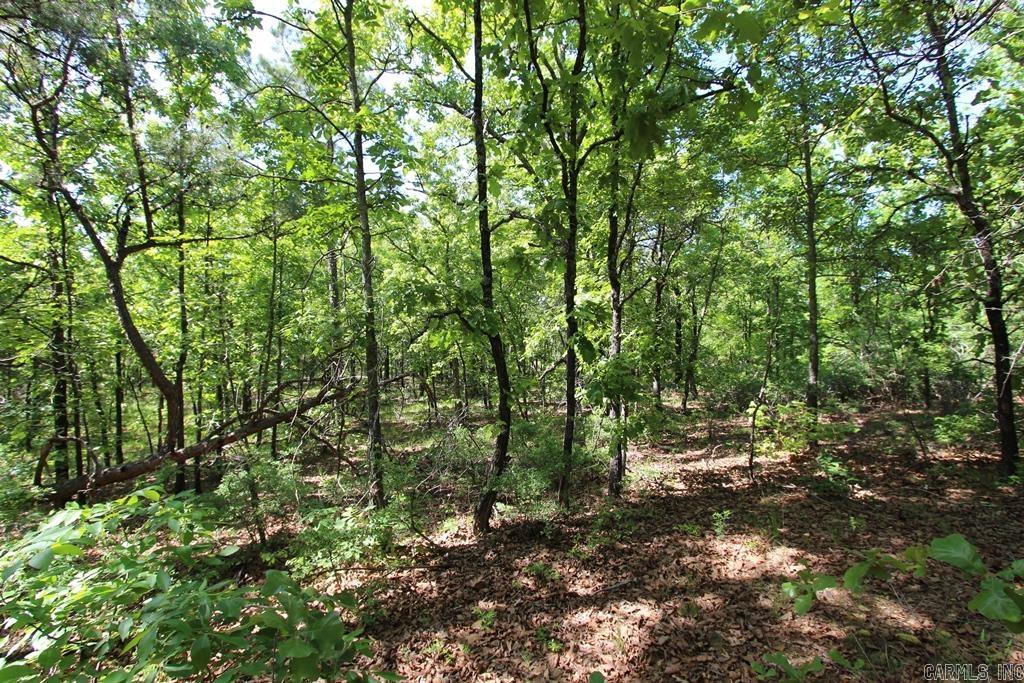 7 LAKES RANCH ESTATES PHASE 1 - Land