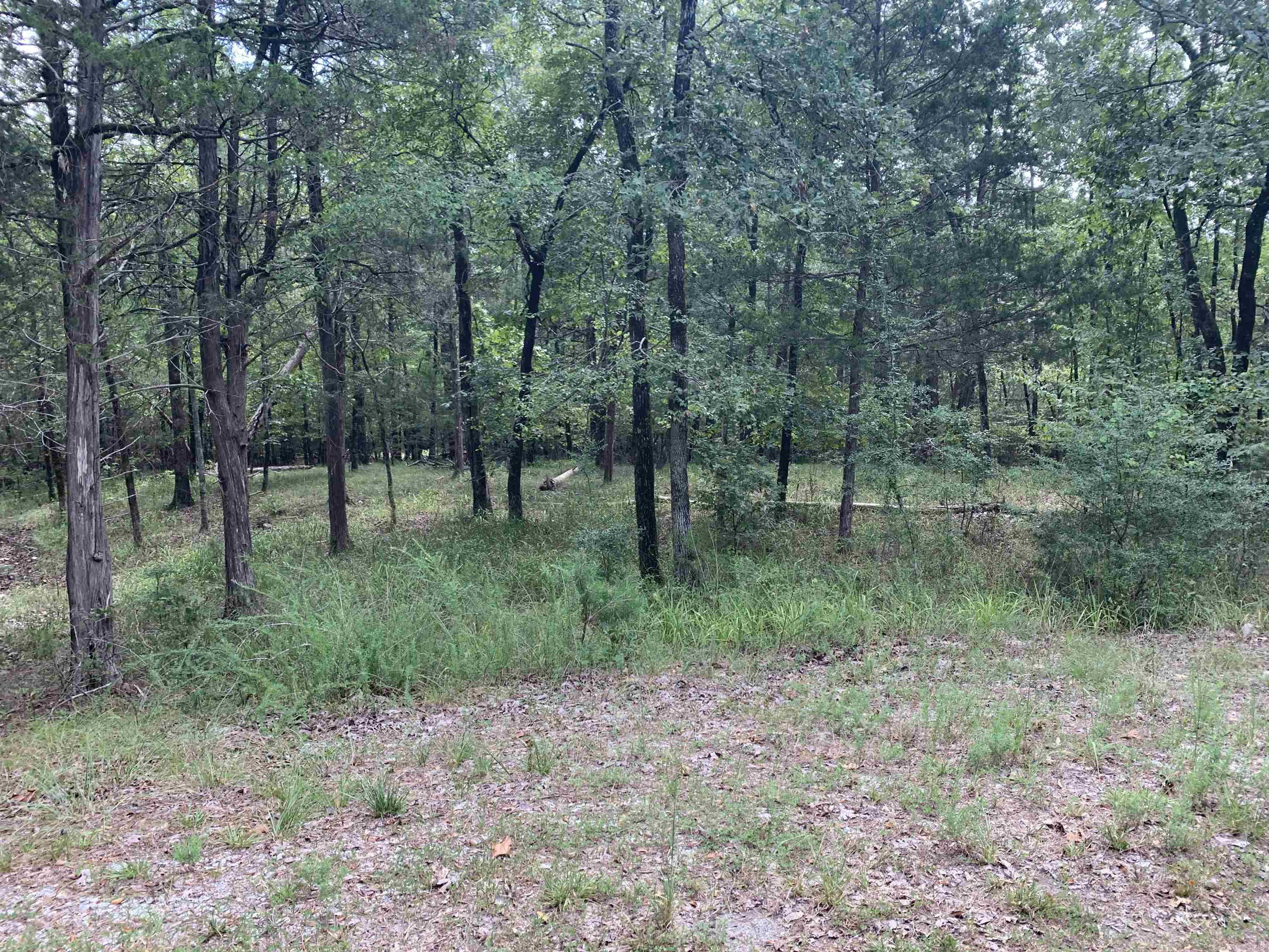 Beautiful East side lot to build your home on! Hot Springs Village the nation's largest gated community offers 9 beautiful golf courses, 11 recreational lakes with over 30 miles of trails for walking and hiking! New buyers to the Village have a $300.00 buy in fee payable to the POA at closing.