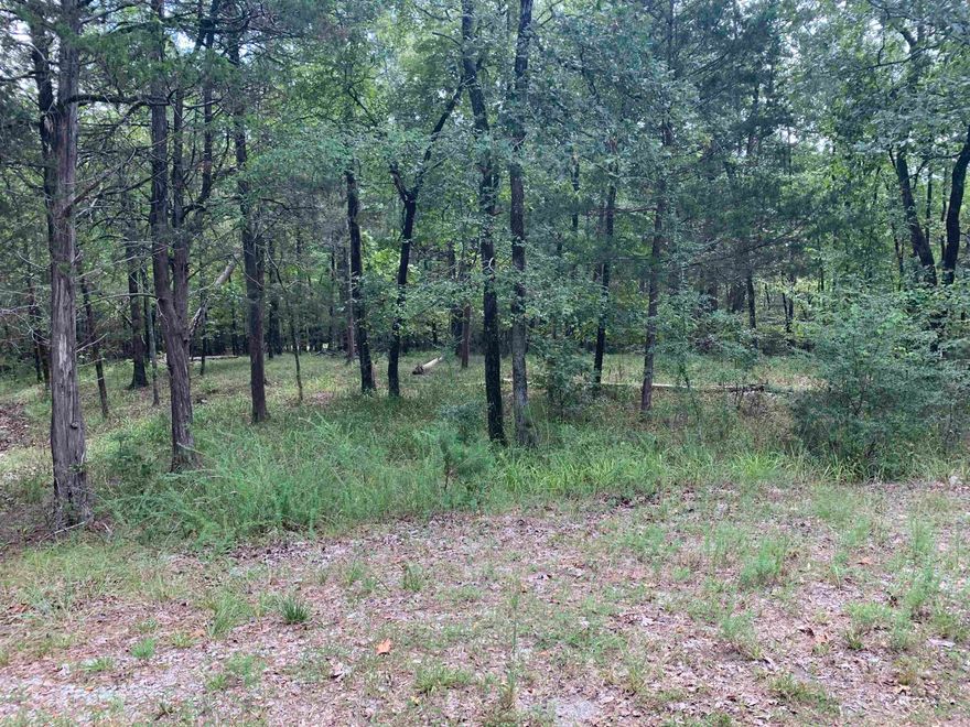 Beautiful East side lot to build your home on! Hot Springs Village the nation's largest gated community offers 9 beautiful golf courses, 11 recreational lakes with over 30 miles of trails for walking and hiking! New buyers to the Village have a $300.00 buy in fee payable to the POA at closing.