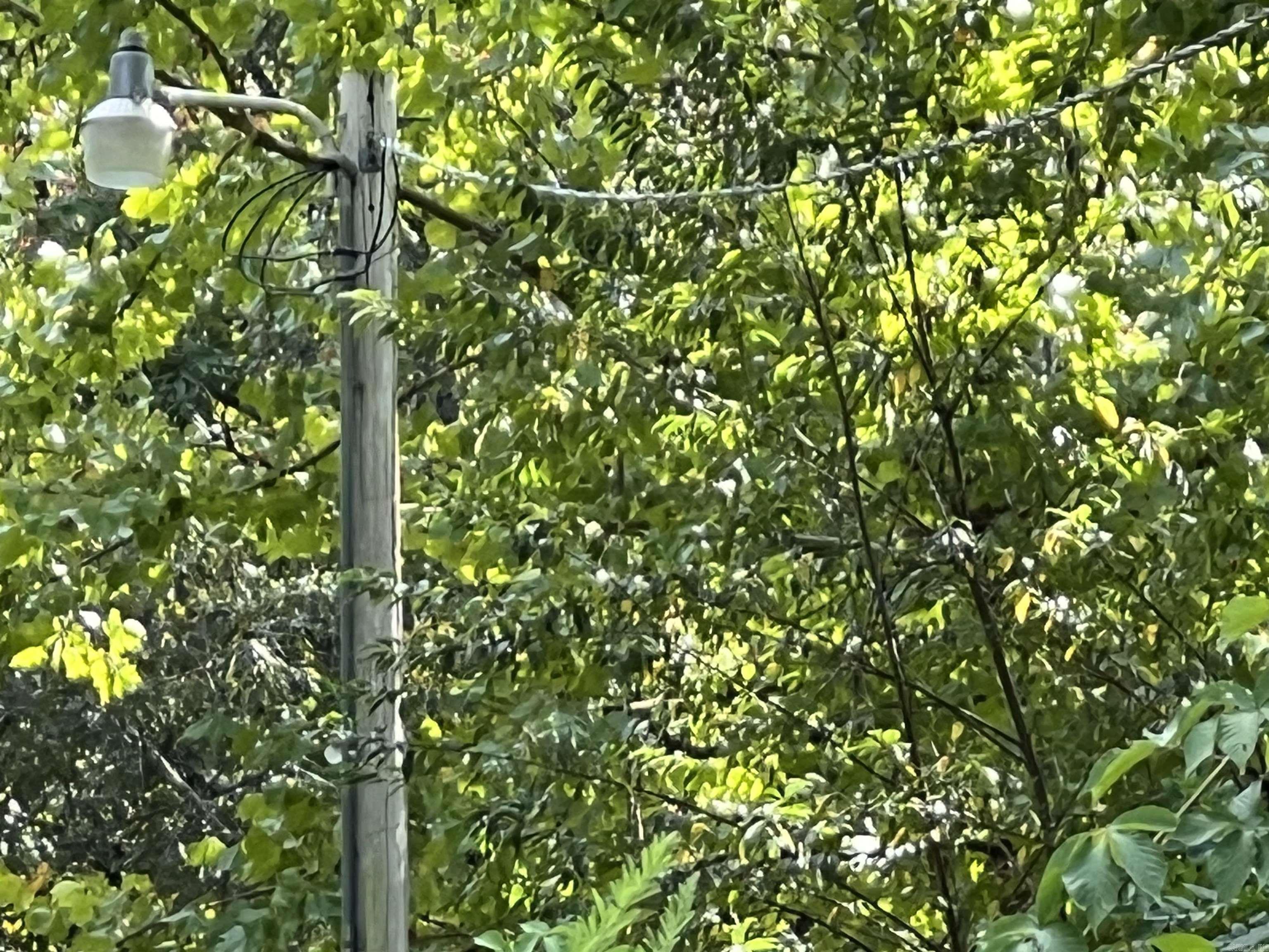 OZARK REGULAR BAPTIST CAMP - Land