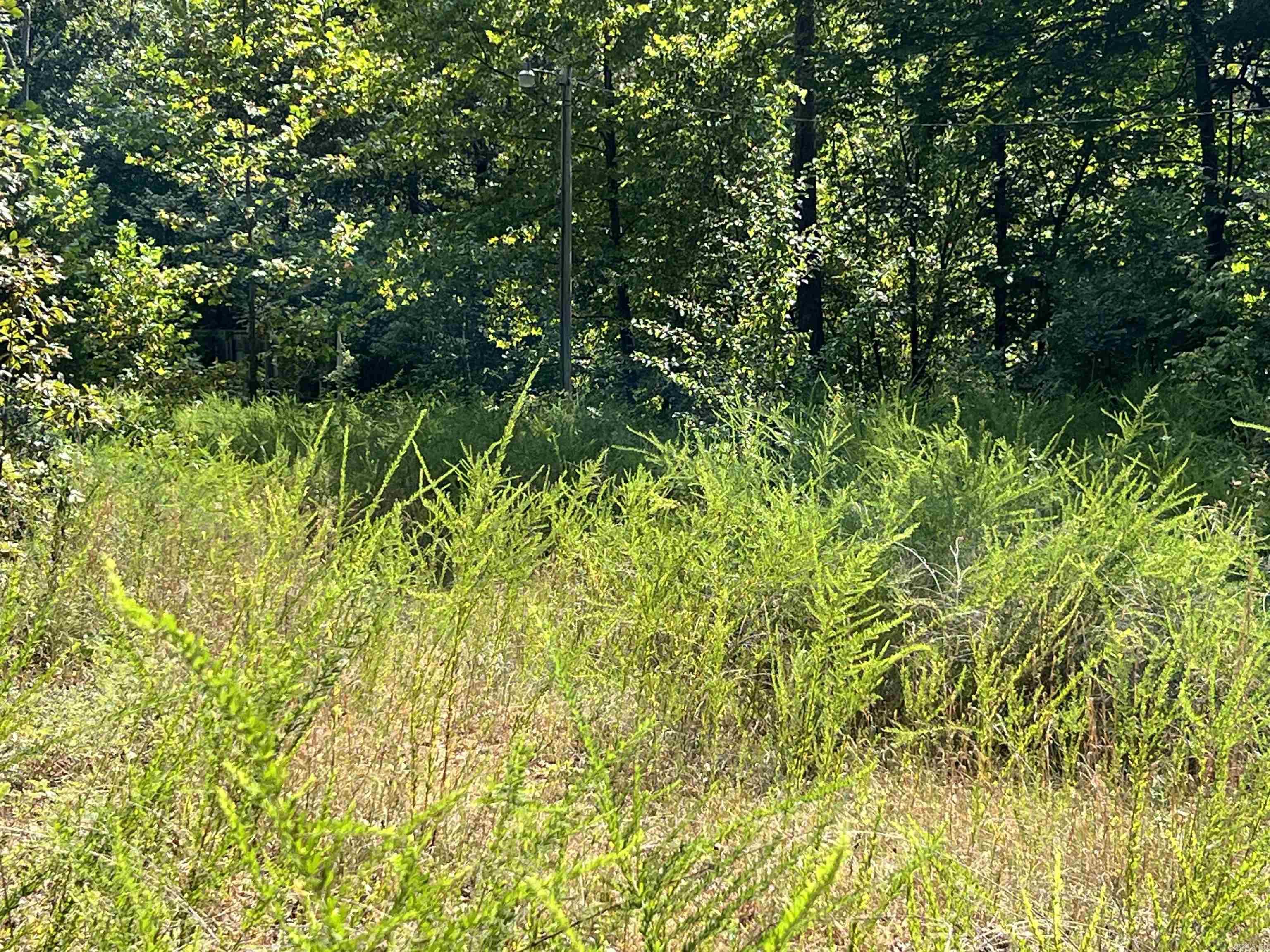 CARMLS 5 Acres Near Spring River ā Wooded Retreat with Prime Location This 5-acre property offers the perfect blend of privacy, recreation, and convenience. Mostly wooded with a healthy stand of mature oak timber, it features a small clearing where an old home place once stoodāideal for building, camping, or setting up a cabin. Surrounded by similar wooded acreage, it provides excellent seclusion and potential for hunting deer, turkey, and small game. Located just one mile from public access on the renowned Spring River, you can enjoy fishing, floating, kayaking, or simply relaxing by the water. The setting is perfect for an outdoor enthusiast seeking both wooded acreage and easy access to one of the Ozarksā most popular recreational waterways. With rural utilities nearby and small-town amenities within easy reach, this property is ready for your visionāwhether thatās a permanent home, seasonal getaway, or recreational retreat.