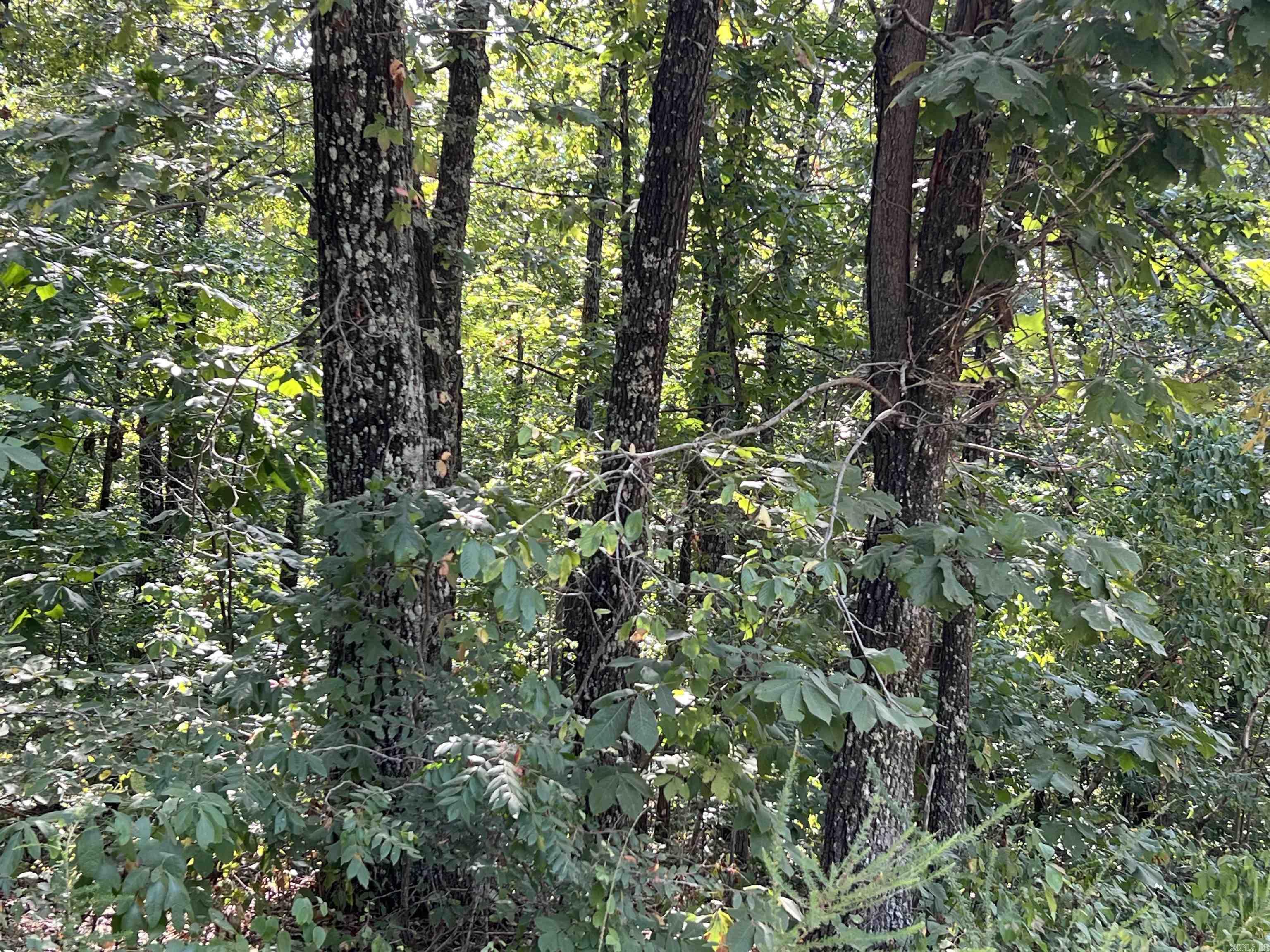 OZARK REGULAR BAPTIST CAMP - Land