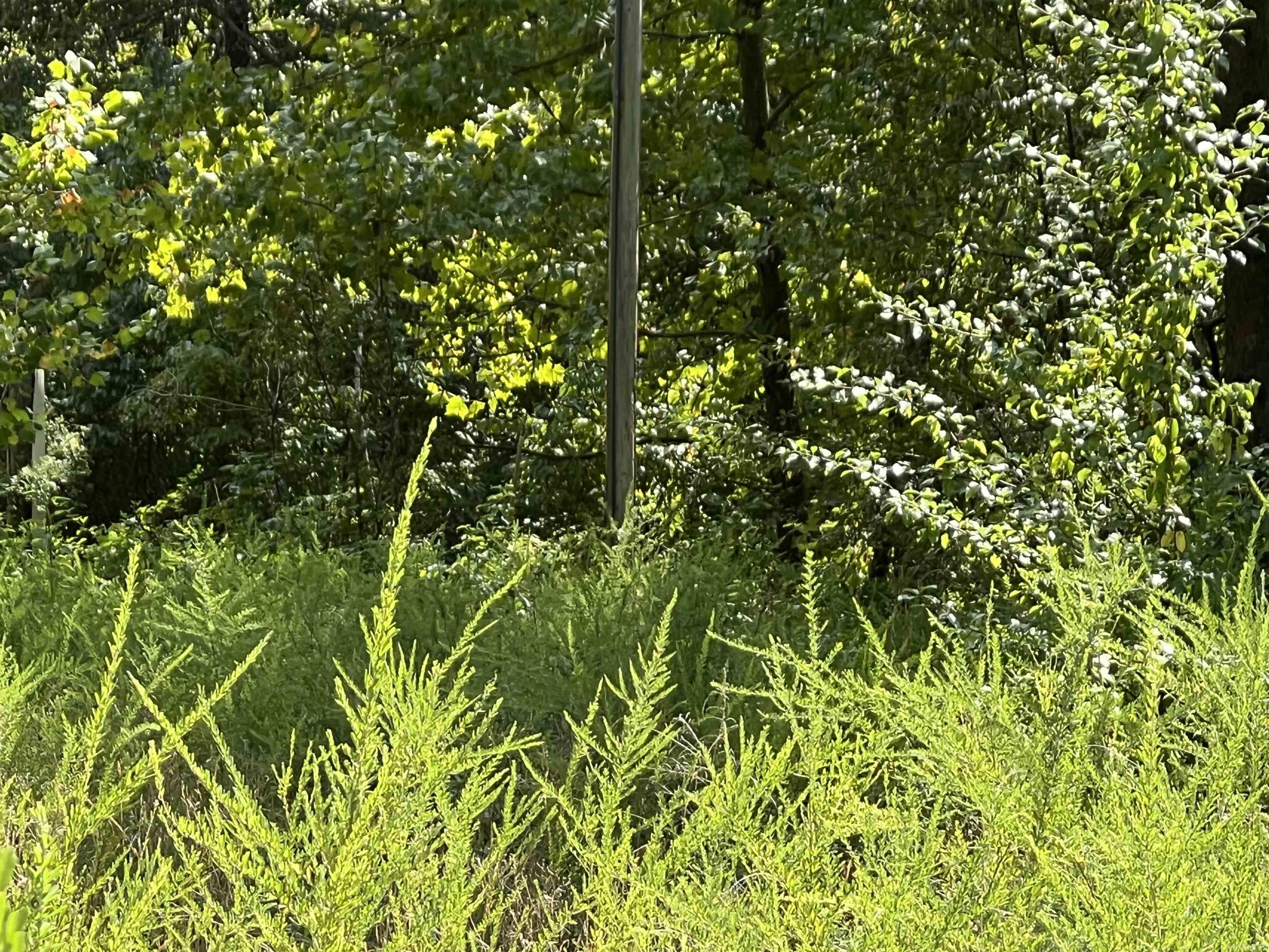 OZARK REGULAR BAPTIST CAMP - Land