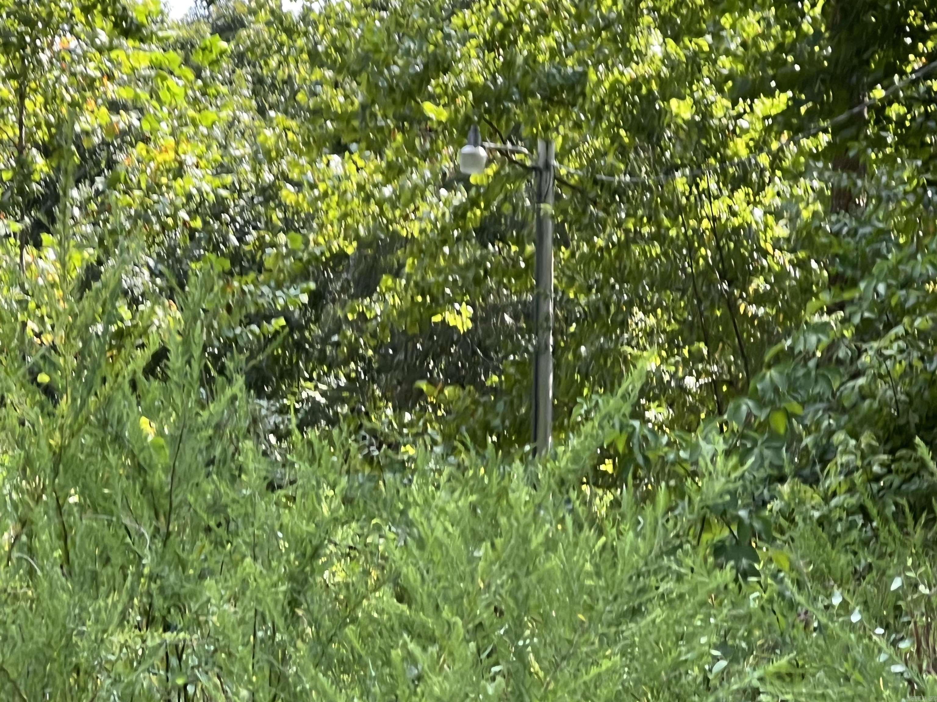 OZARK REGULAR BAPTIST CAMP - Land