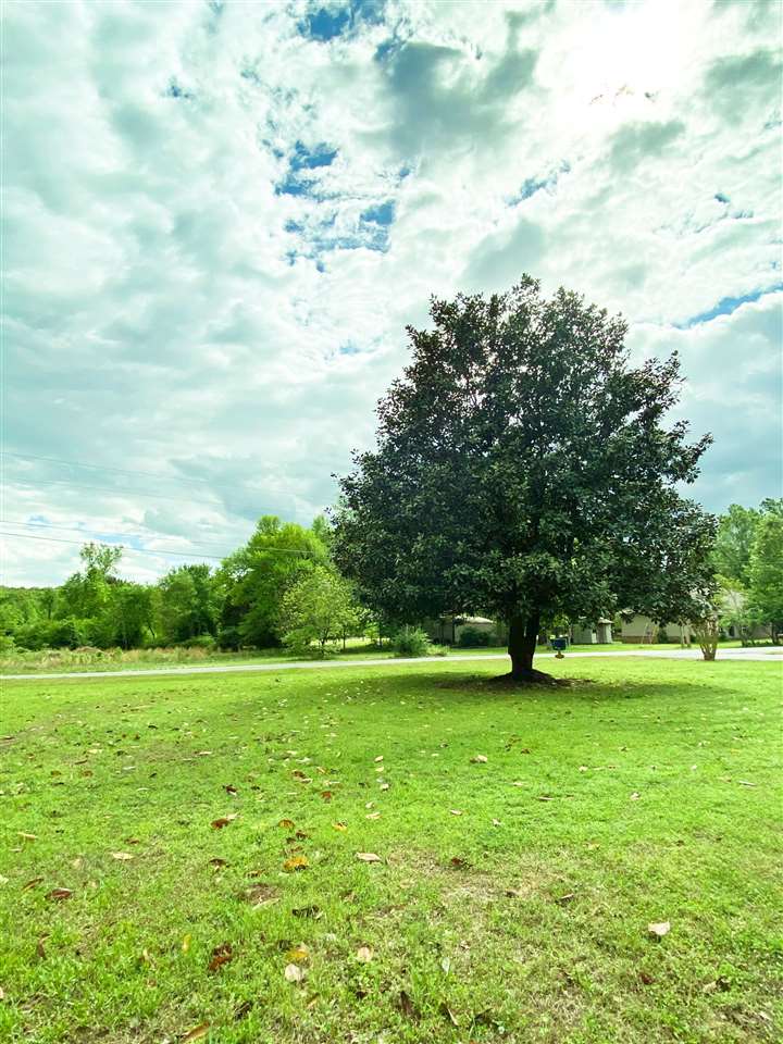 OAKRIDGE - Residential