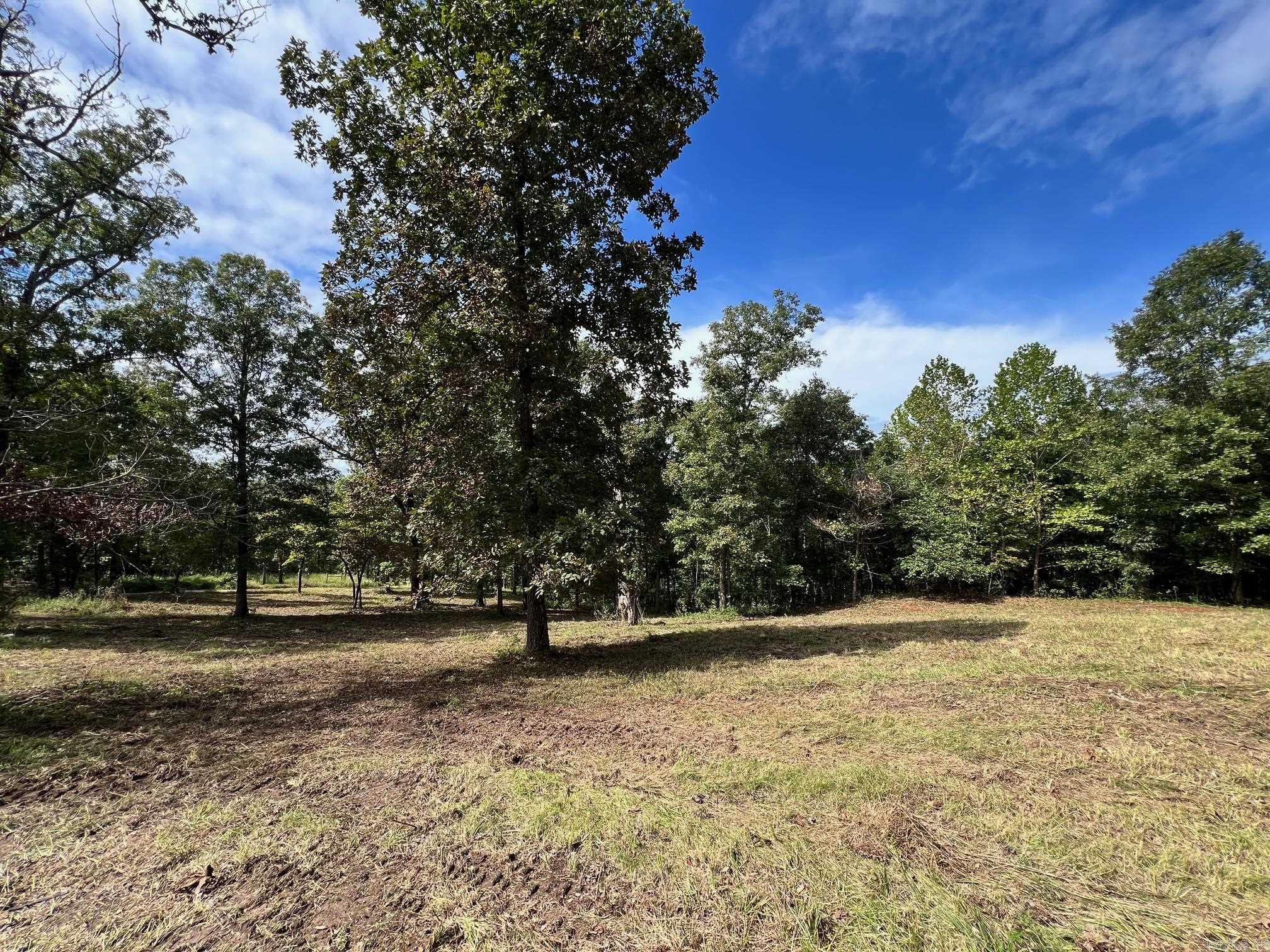 One of a kind find! 19 acres m/l with great building site, electricity/well on site, and gated river access to community lot. Offering access to the Spring River, this mostly wooded property features great hunting, a wet weather creek, and right down the road from your river access. Just over 5 miles from Mammoth Spring, this is a great location for permanent residence or weekend getaway.
