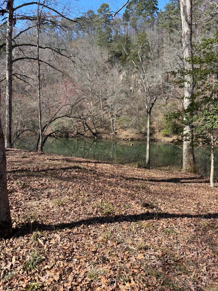 New Subdivision on the Little Missouri River, 10 riverfront tree covered lots, this new subdivision offers rural water and electricity.  Be the first to purchase a river front lot, perfect for a cabin or weekend getaway.  Minutes from Swaha marina on Lake Greeson and Crater of Diamond State Park.  These lots are in a prime location and offer beautiful river front views of the Little Missouri.  Contact our office for more details.