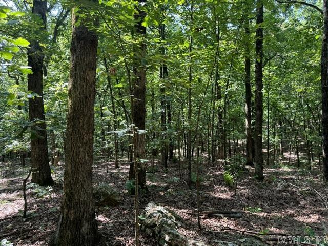 Randolph County - Land