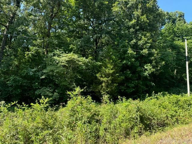 Randolph County - Land