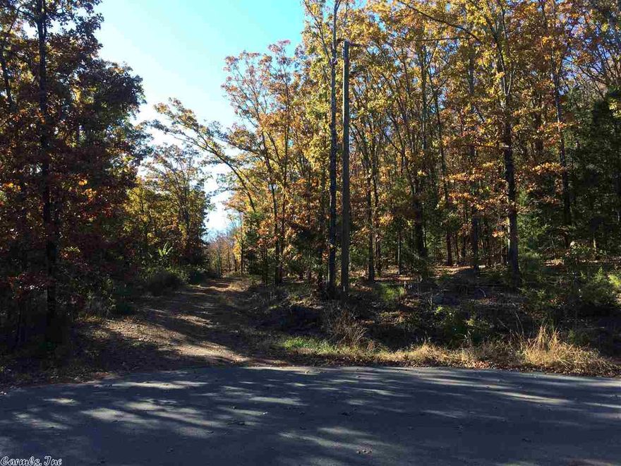 DRIVEWAY CUT THROUGH PROPERTY AND AREA LEVELED FOR HOUSE.  PRIVATE SECLUDED LOT.