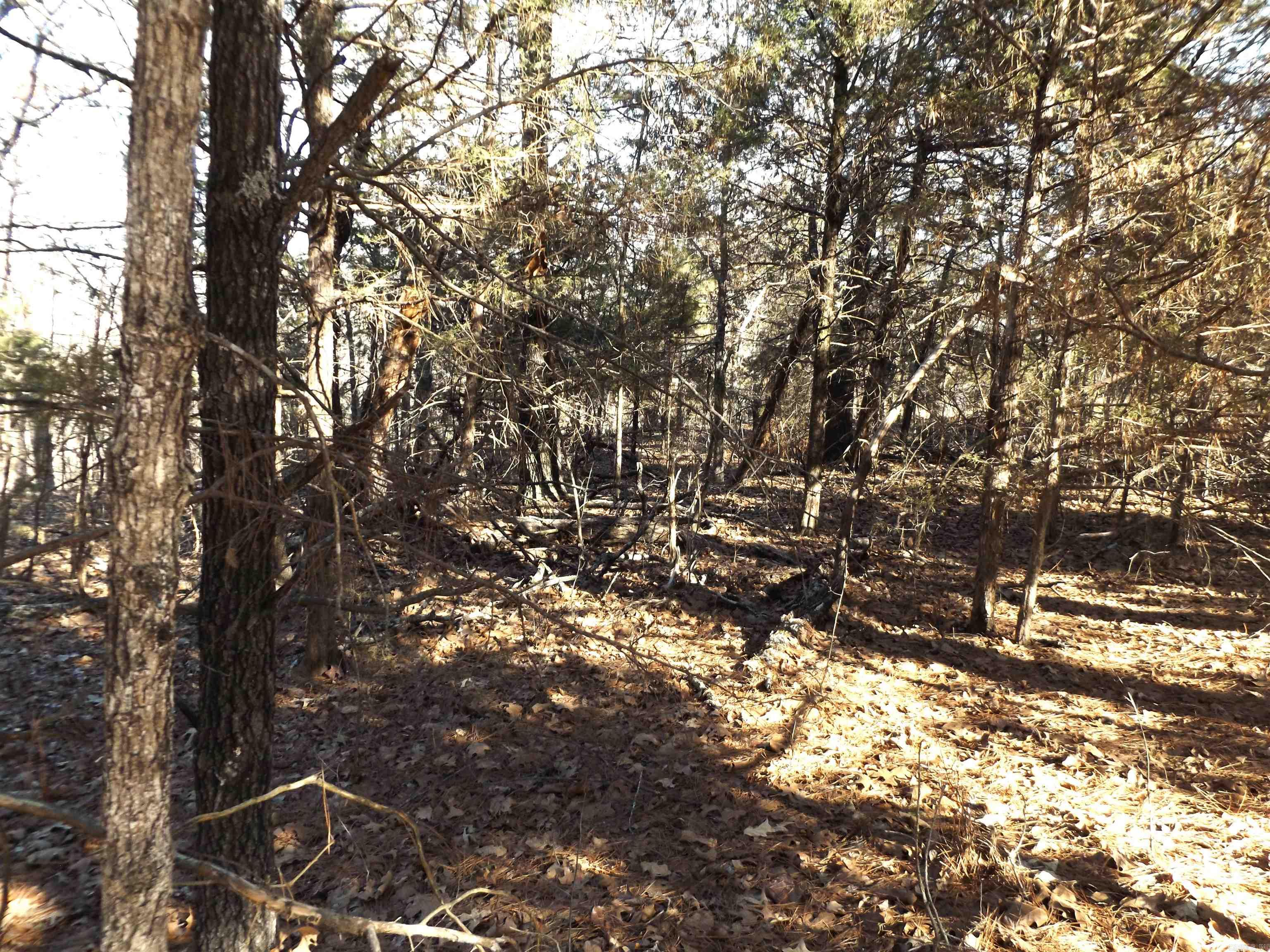 Choctaw First - Land