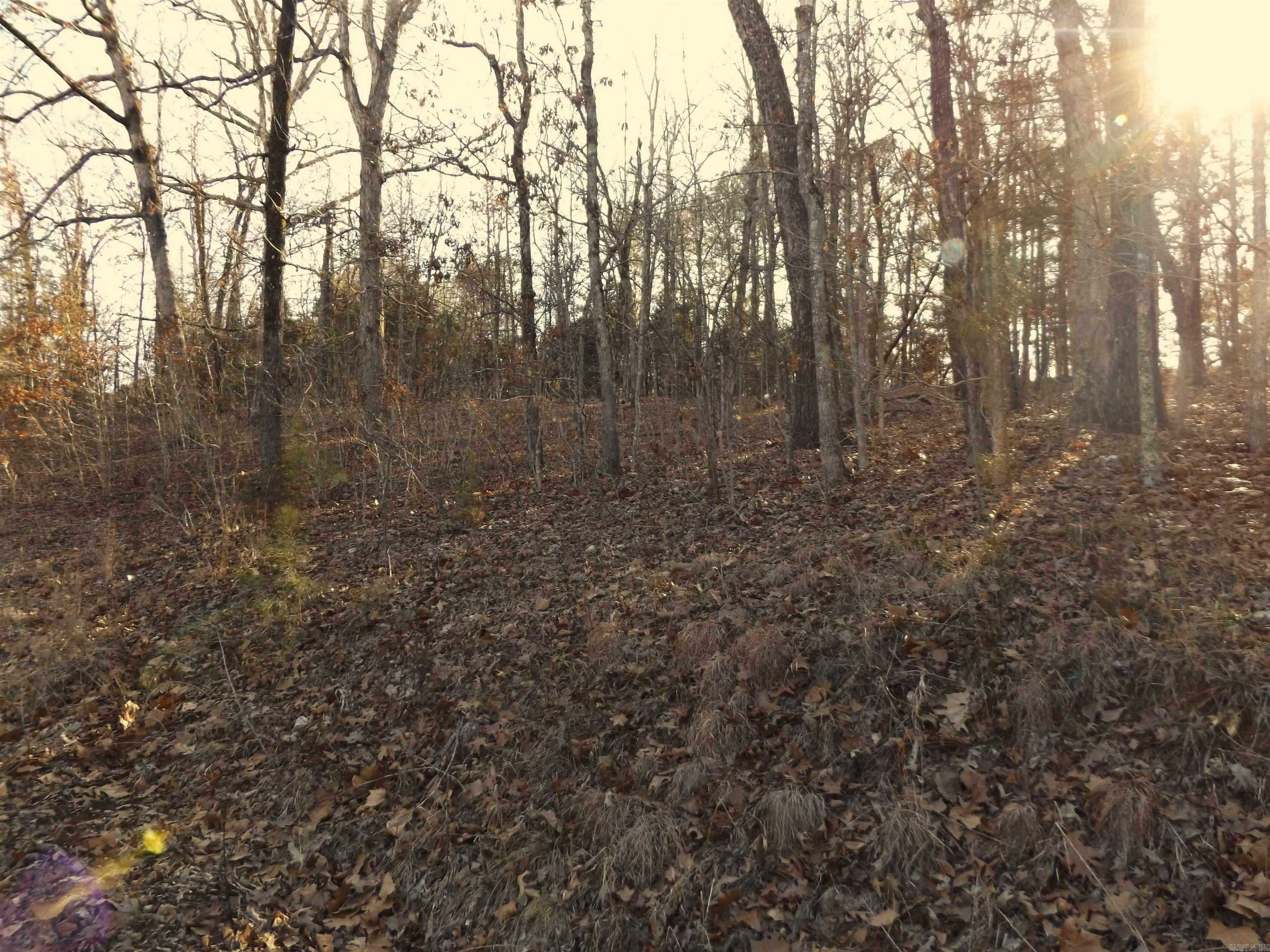 Choctaw First - Land