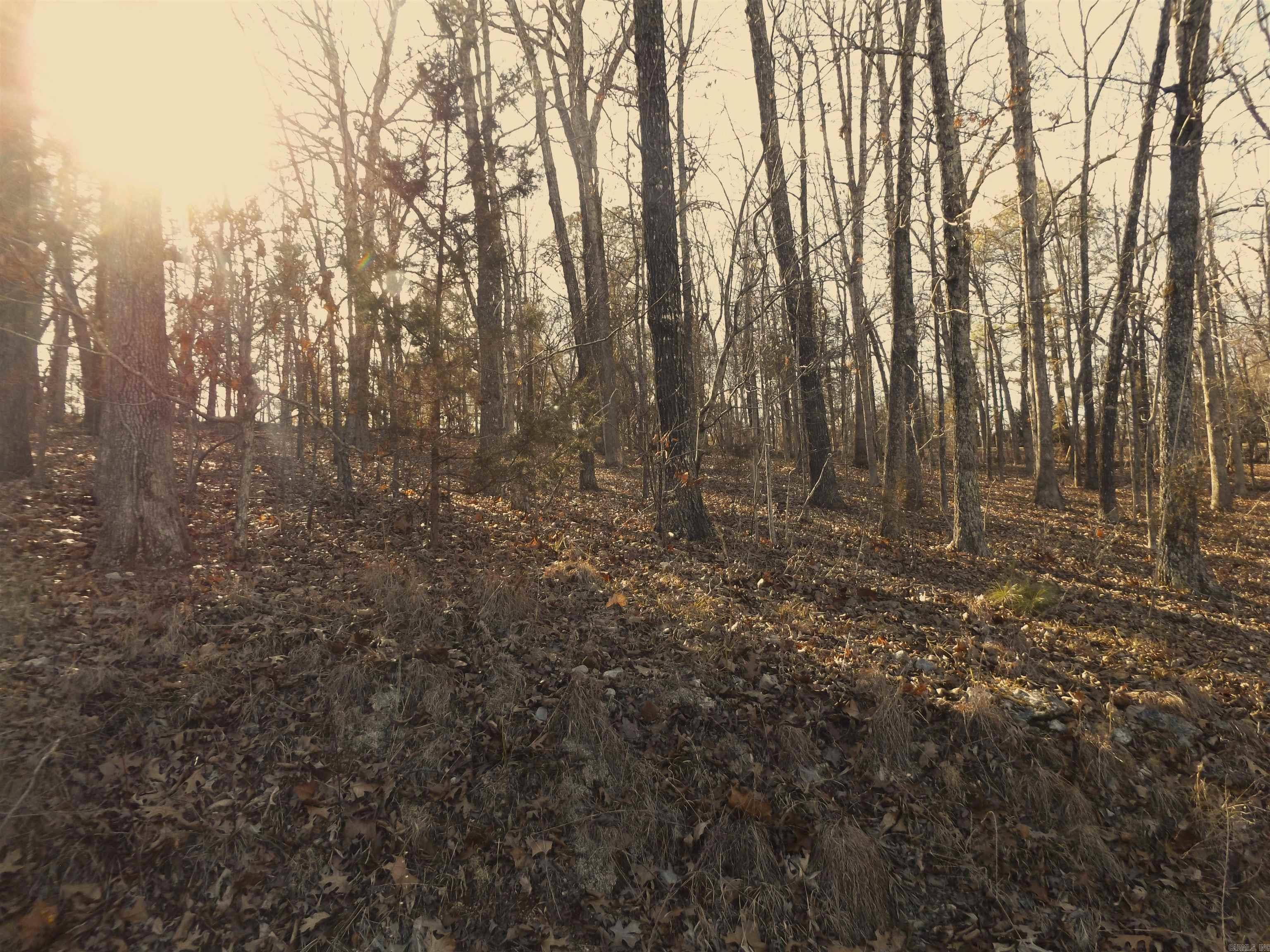 Choctaw First - Land