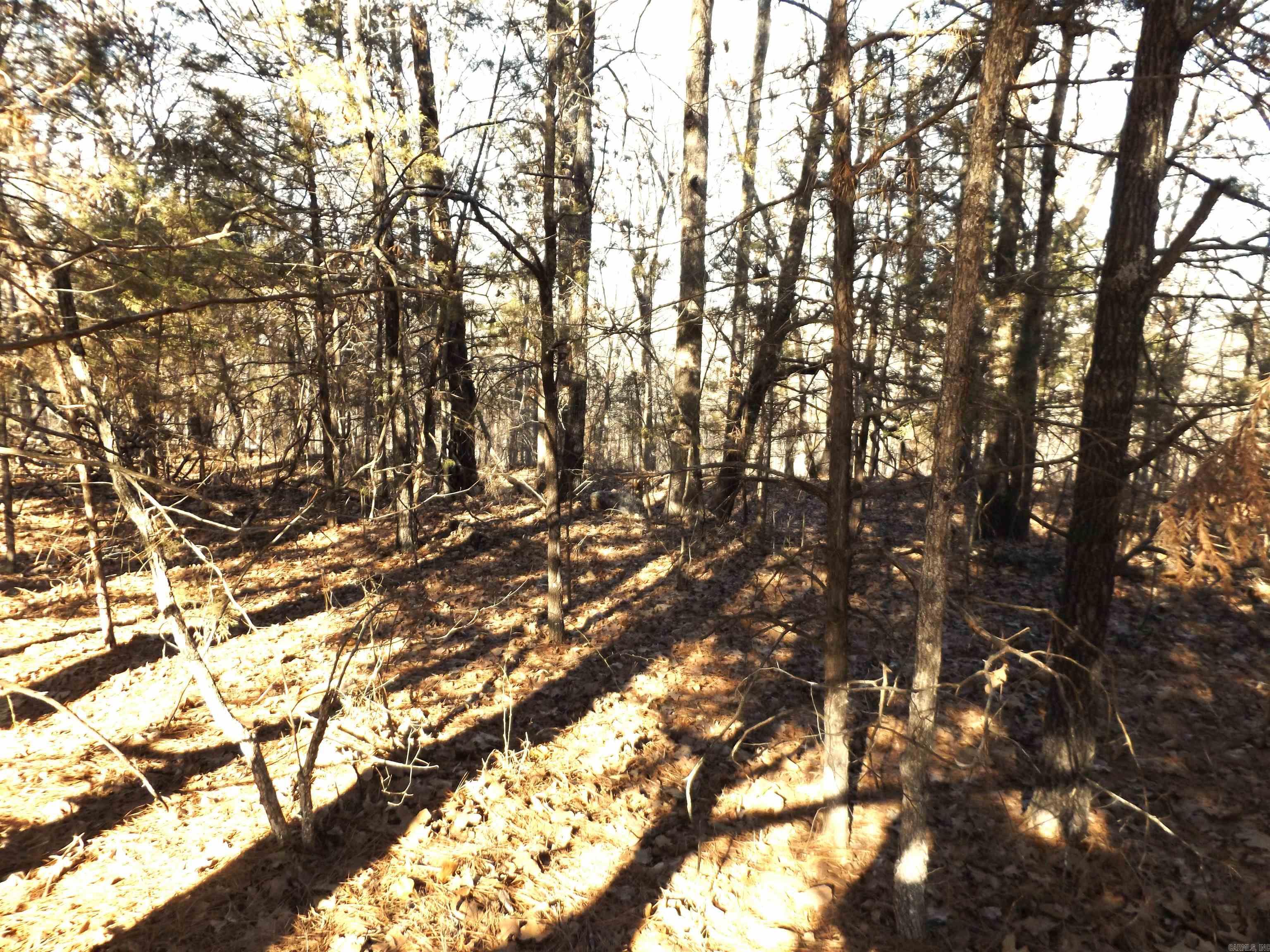 Choctaw First - Land