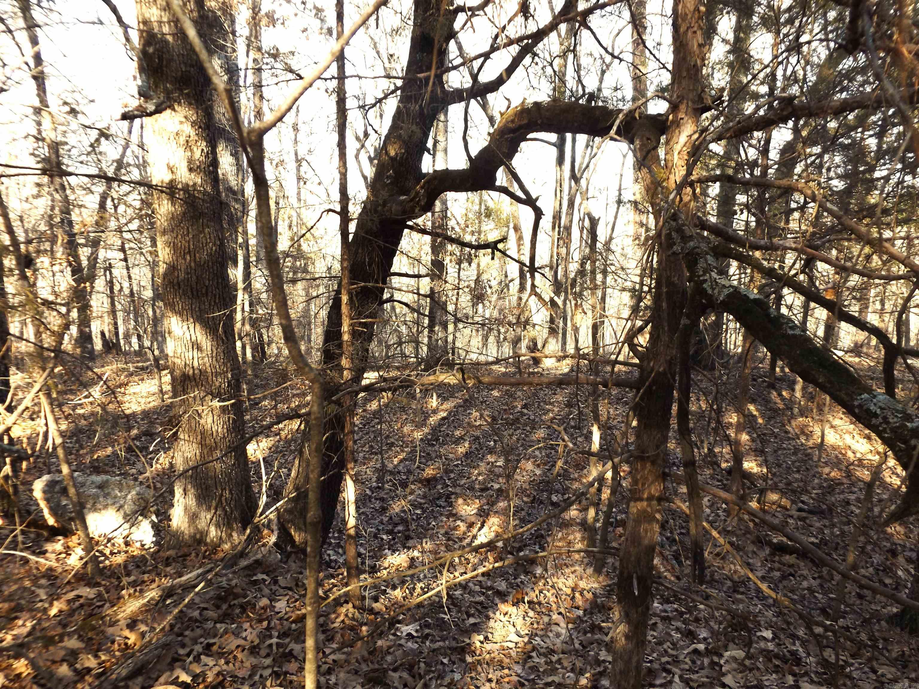 Choctaw First - Land