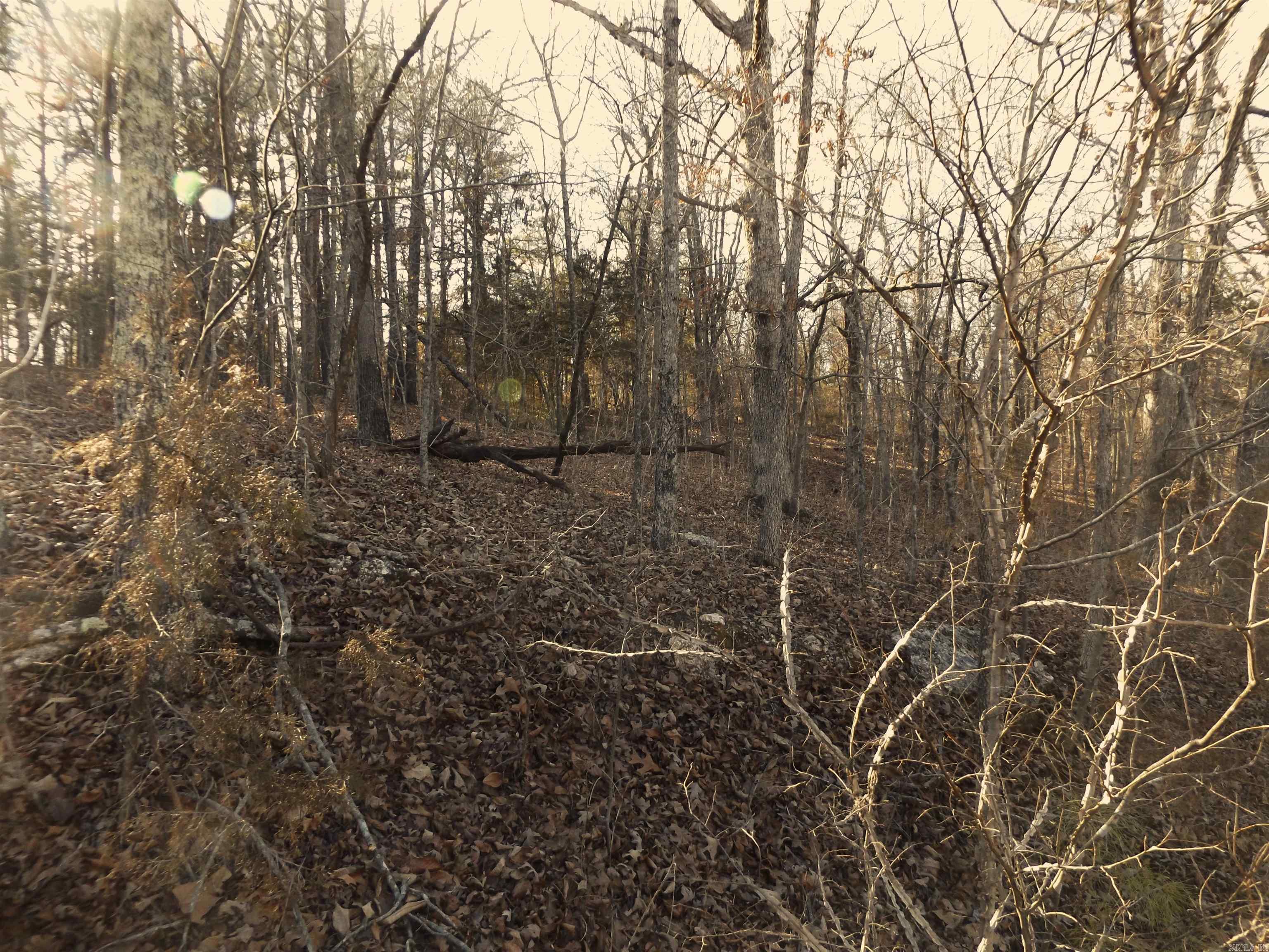 Choctaw First - Land