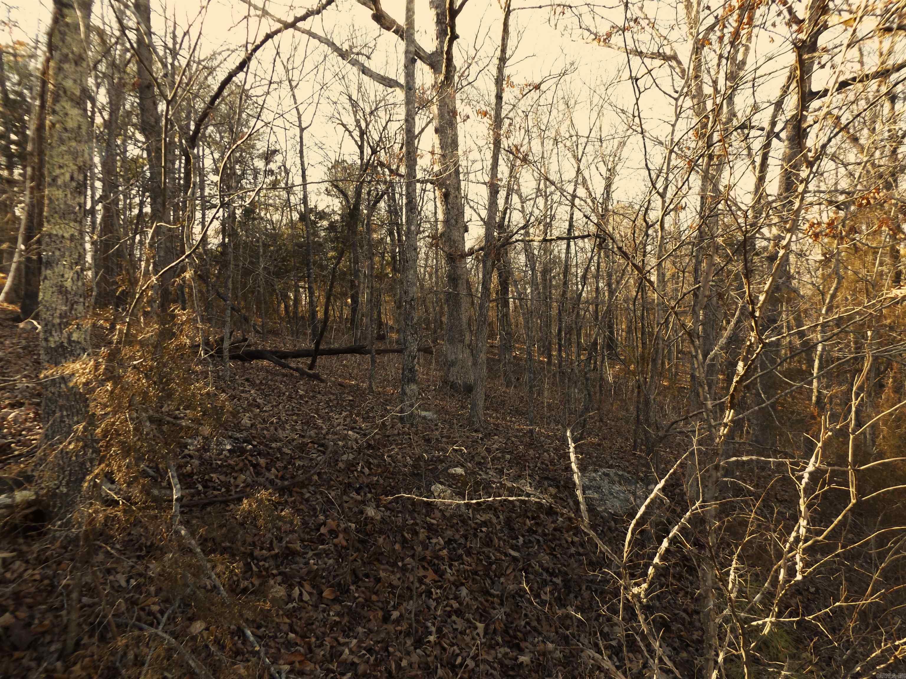 Choctaw First - Land