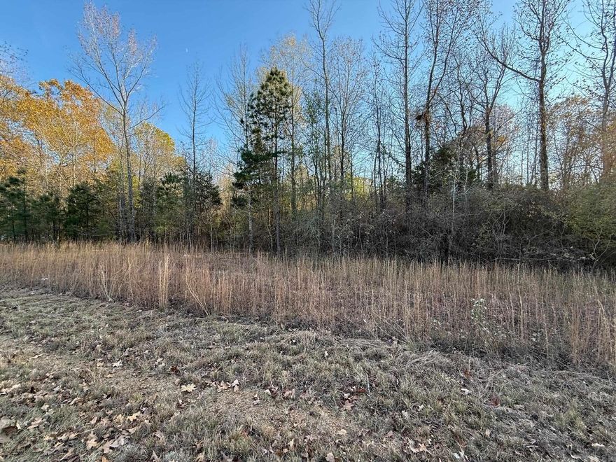 6.3 acres zoned Residential on General Samuels rd.