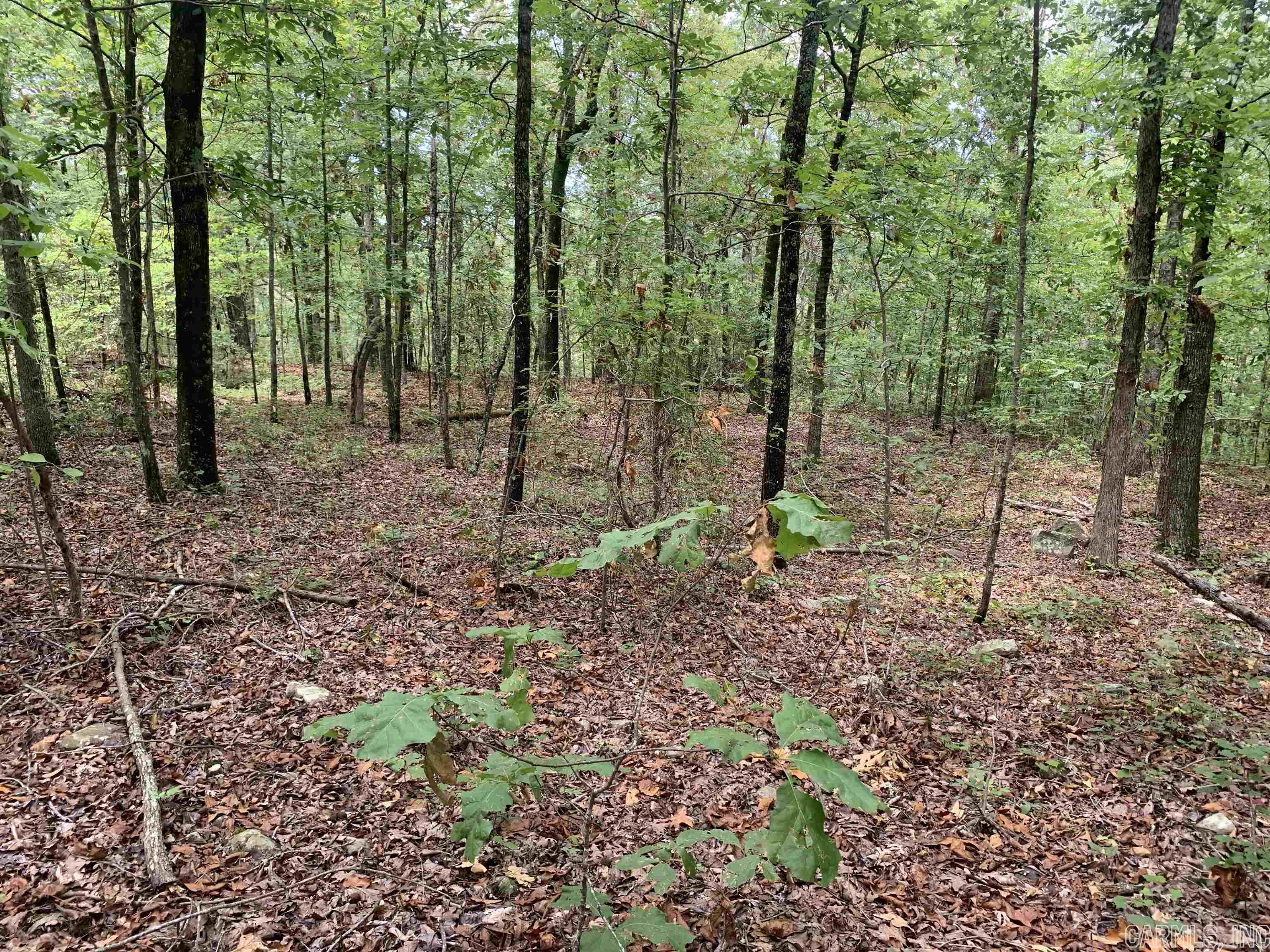 Round Mountain Estates - Land