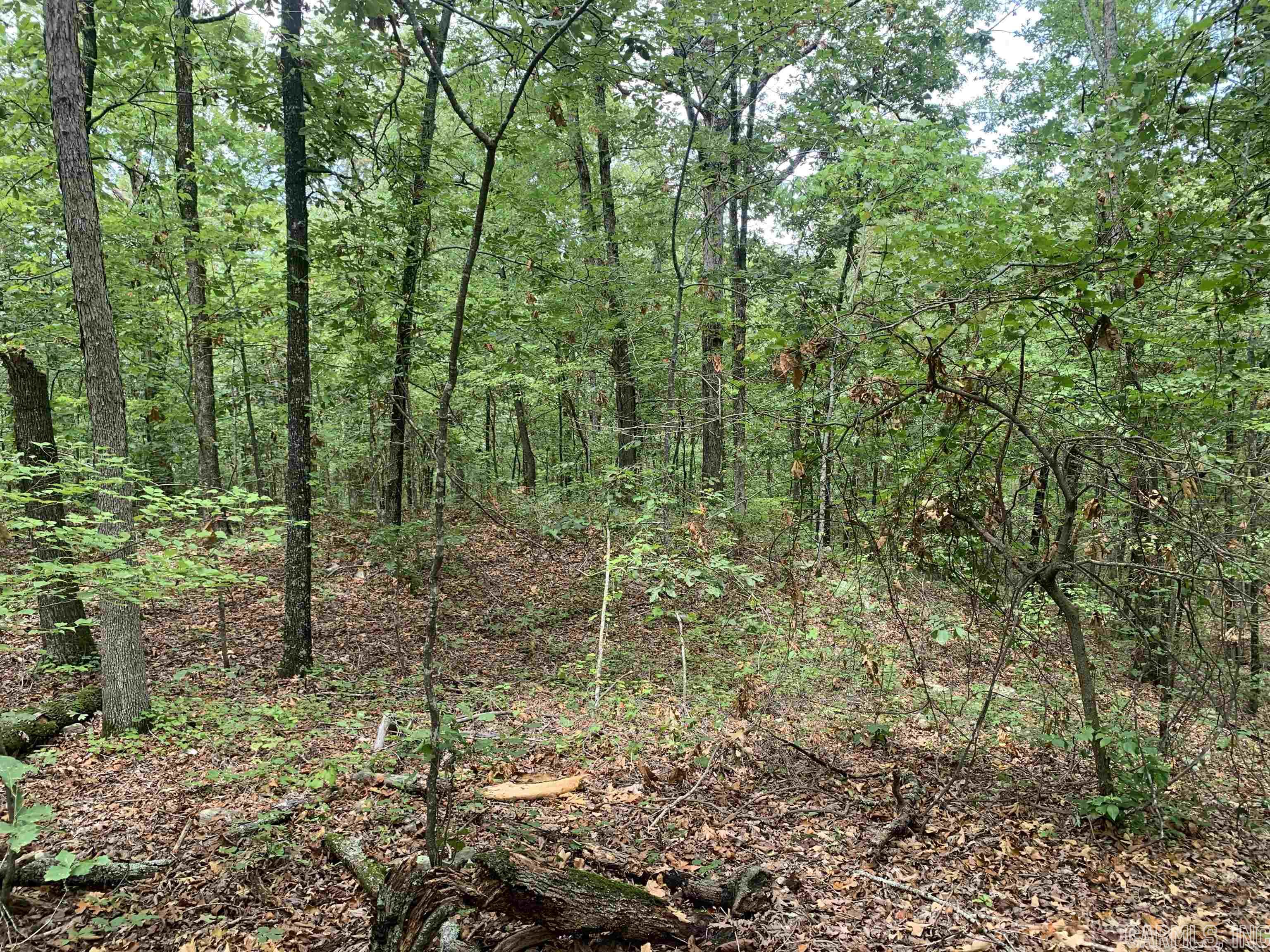 Round Mountain Estates - Land