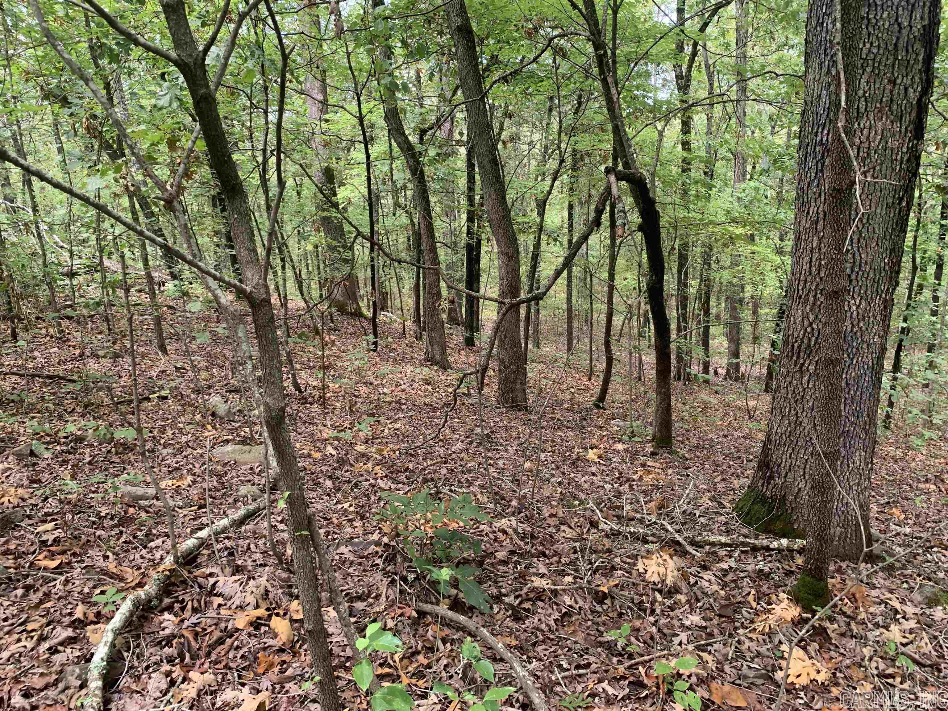 Round Mountain Estates - Land