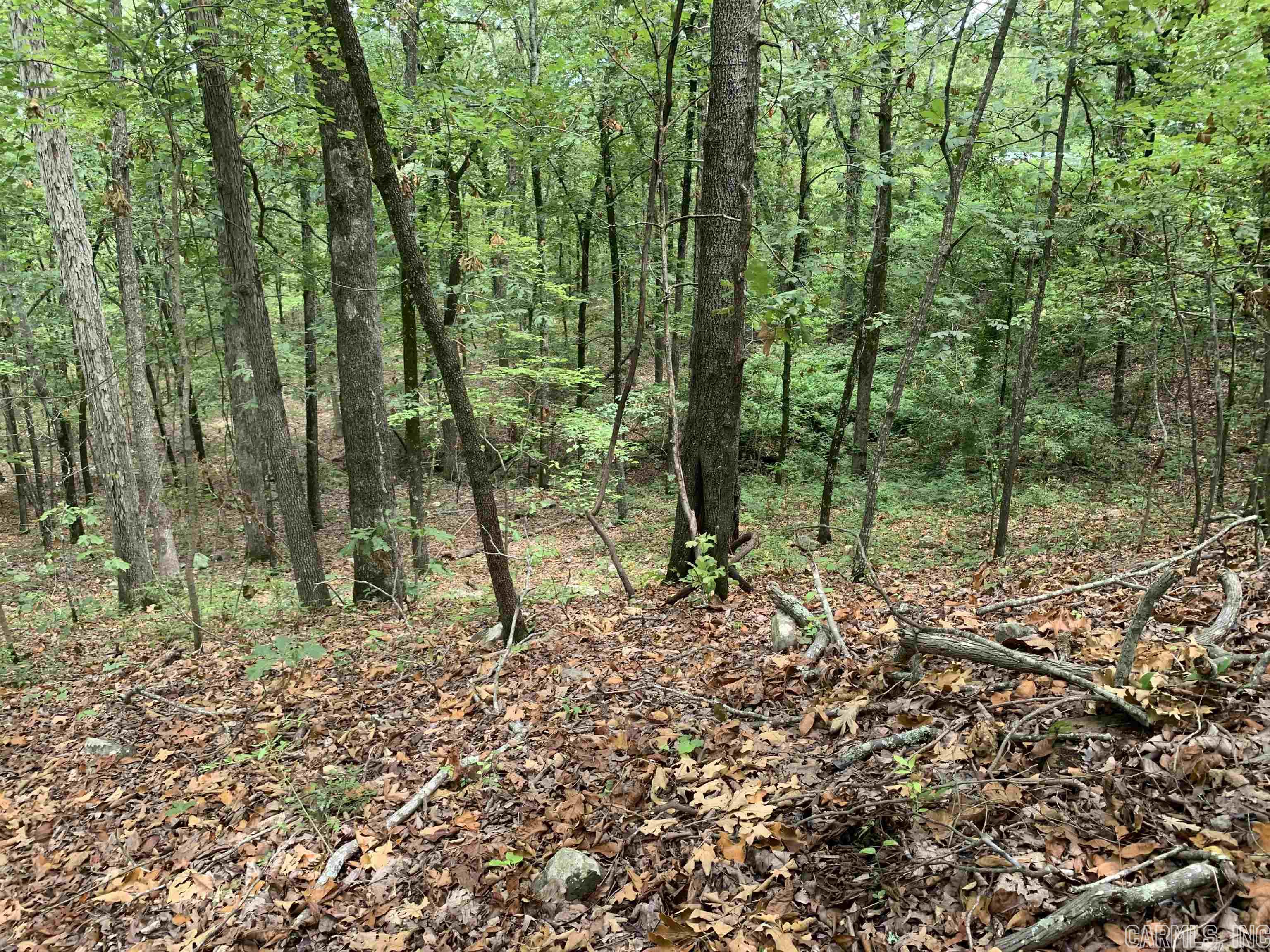 Round Mountain Estates - Land