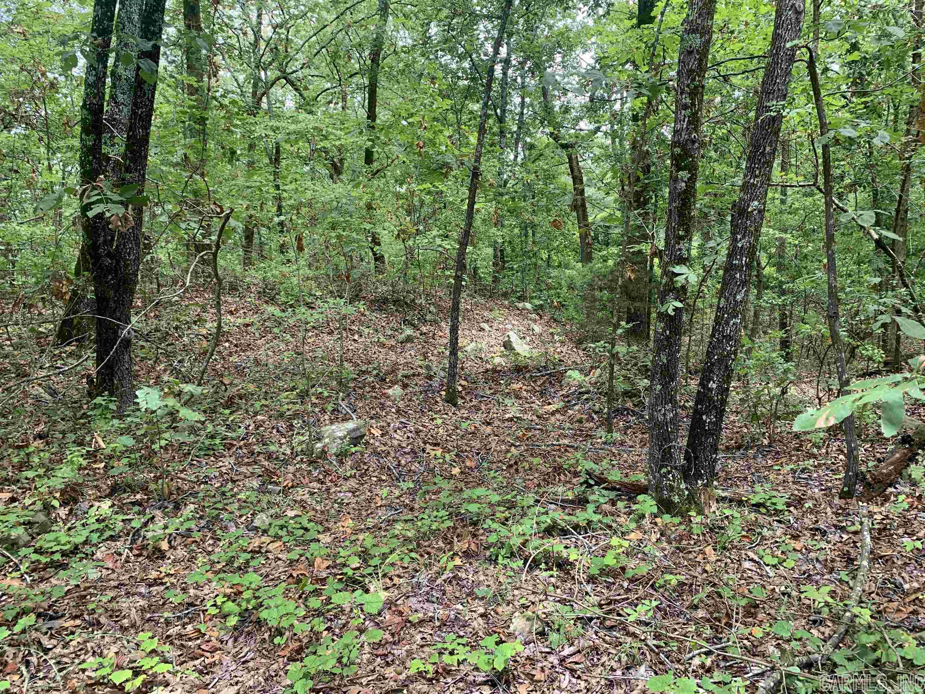 Round Mountain Estates - Land