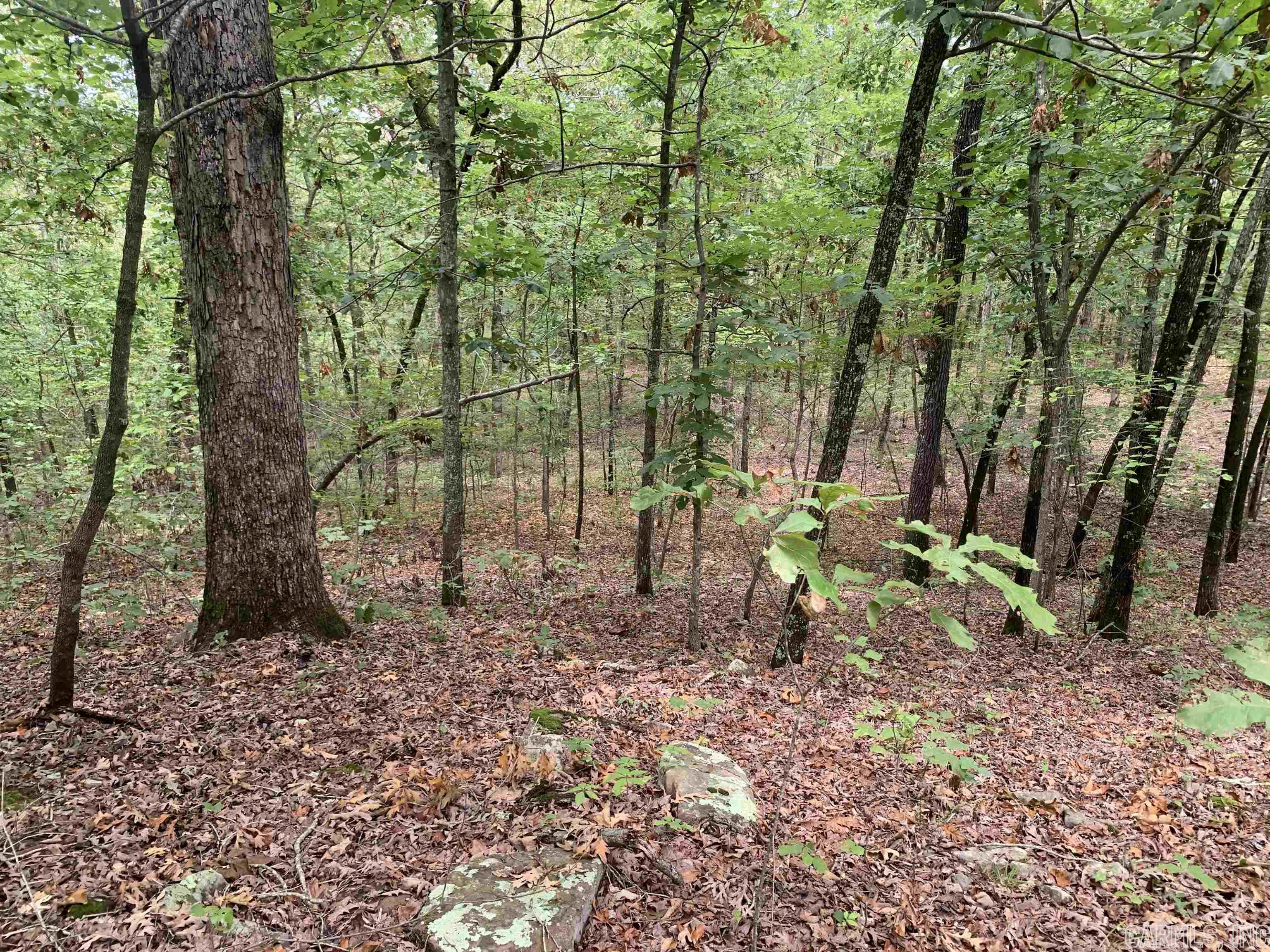 Round Mountain Estates - Land