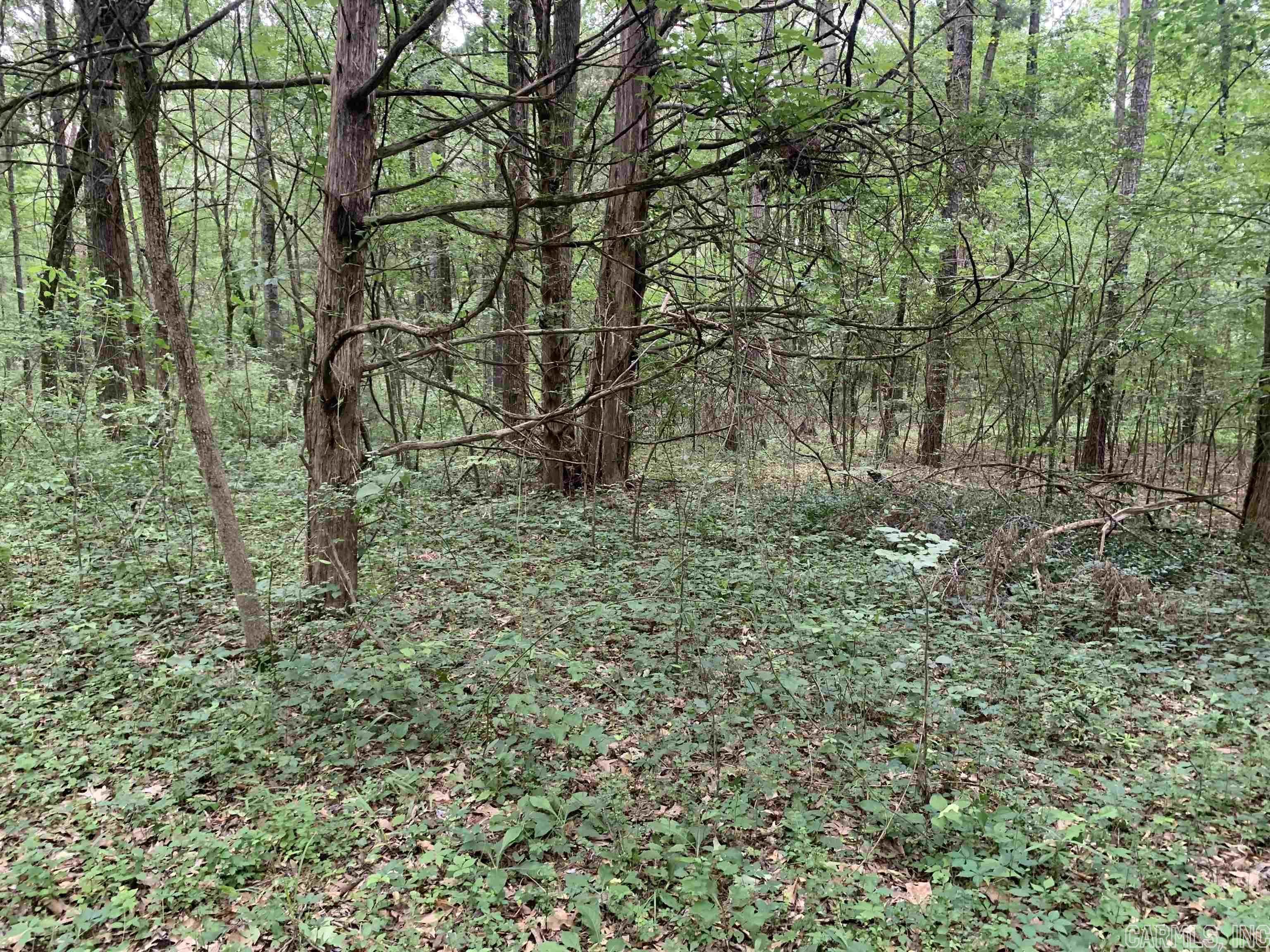 Round Mountain Estates - Land