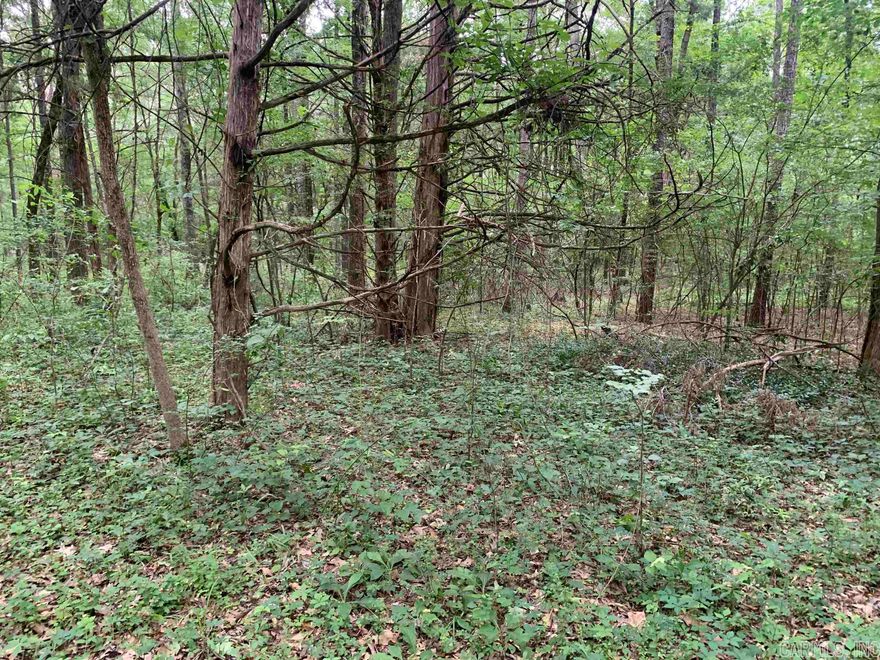 5+- Wooded Acres just south of El Paso Arkansas in White County Arkansas.  Hilly Terrain with a several build sites available.  Water and electric available at the Winwood Country Road.  All lots are 3+- acres in this subdivision.  The trees are in good shape and the land is heavily forested.  Outstanding location for a new home or a good place to bow hunt as well.  Located out of the city limits very few restrictions in the neighborhood.